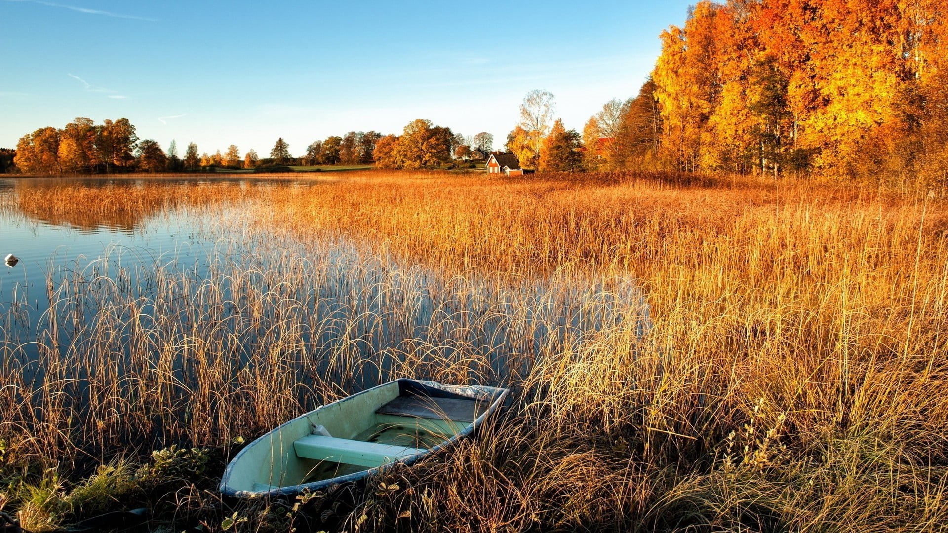 nature, beauty in nature, day, rowboat, grey, field, 1080P, scenics - nature, plant, fall, lake, white, landscape, tranquility, row, sky, growth, abandoned, HD Wallpaper