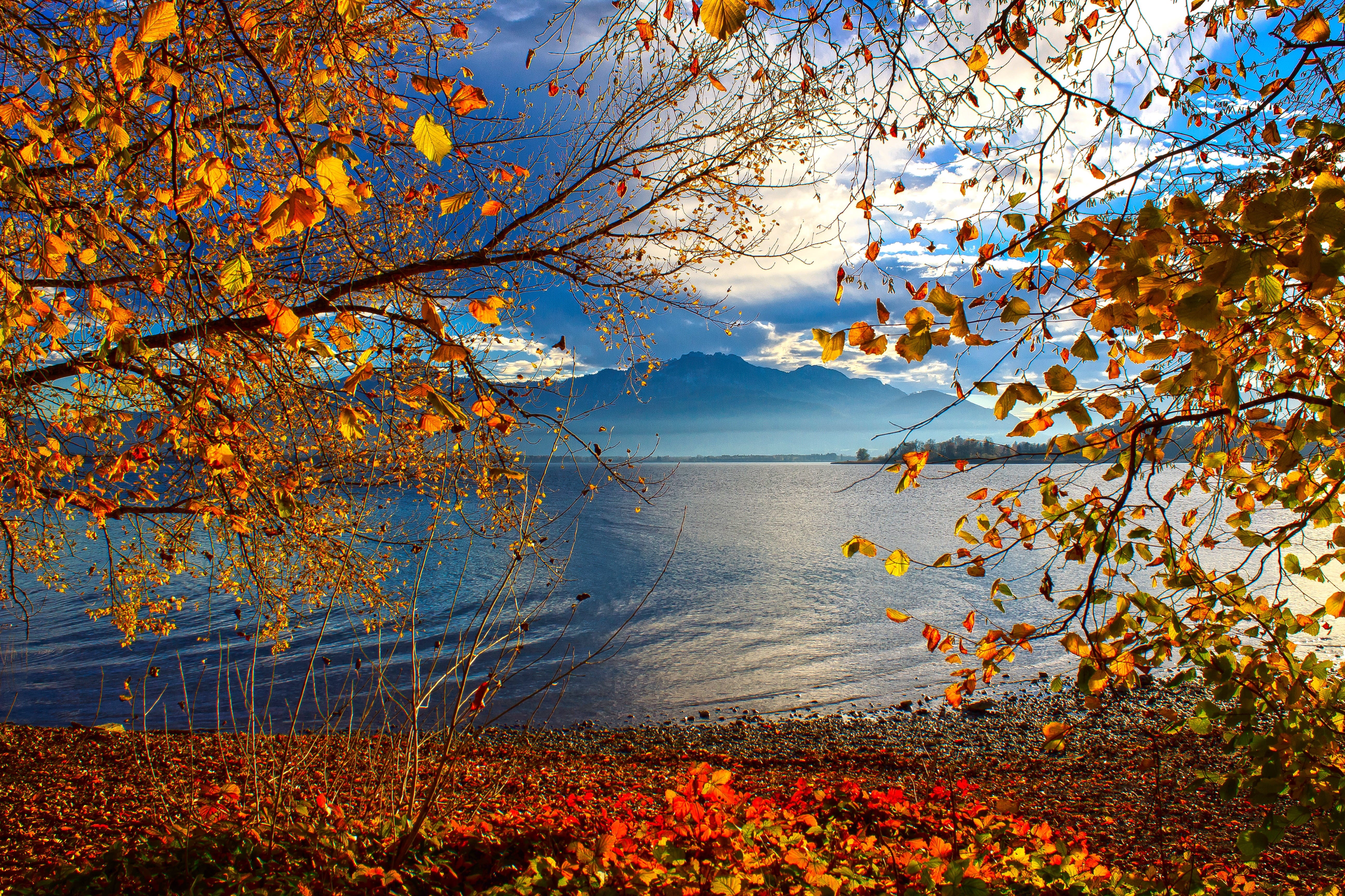 5K, mountain, leaf, change, atmosphere, scenics - nature, water, branch, hair dryer, plant part, nature, sky, tree, lake, no people, cloud - sky, outdoors, HD Wallpaper
