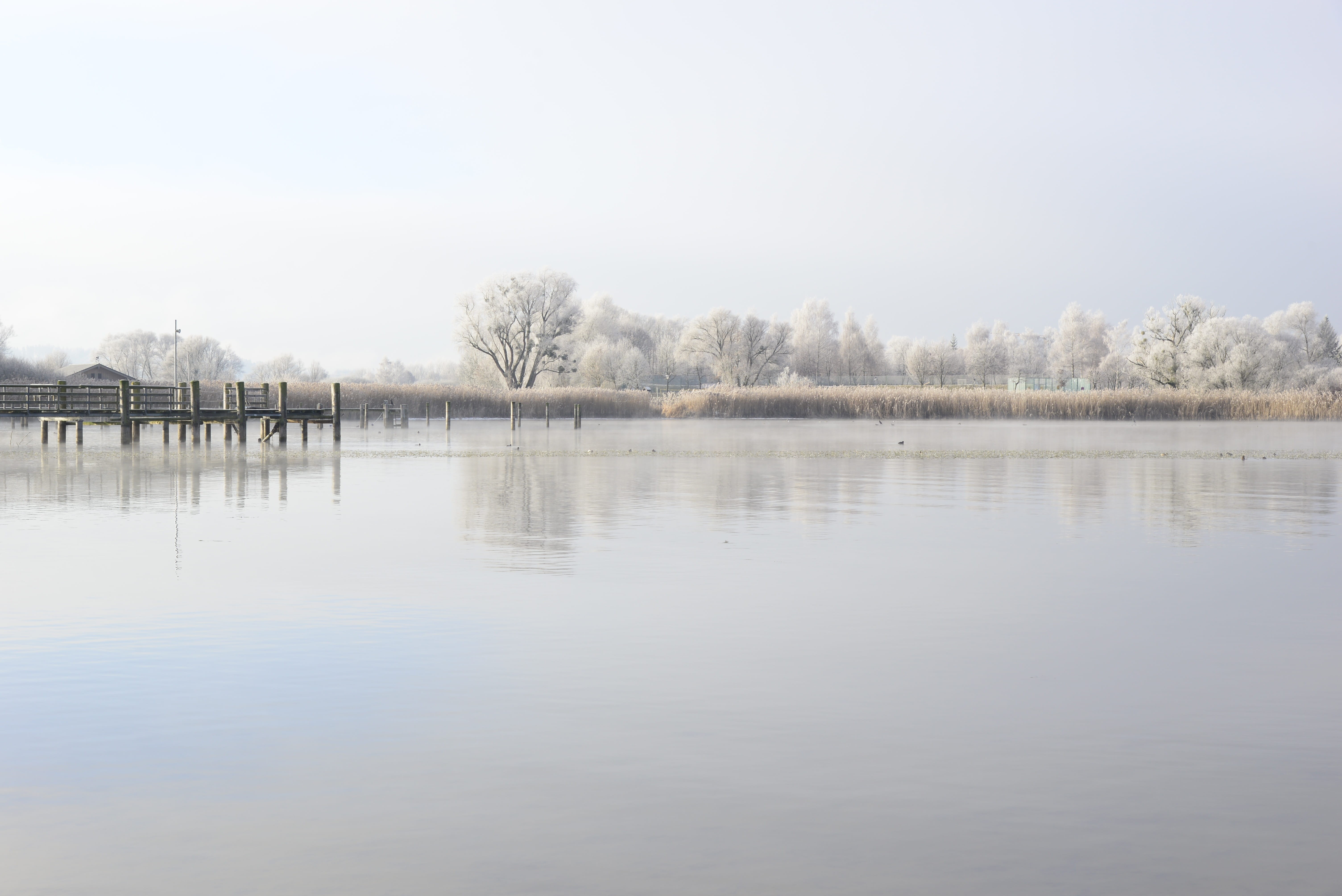 clear sky, piers, plant, still, brown, 5K, non-urban scene, chiemsee, idyllic, reflection, tranquility, tranquil scene, hoarfrost, mood, bavaria, jetty, HD Wallpaper