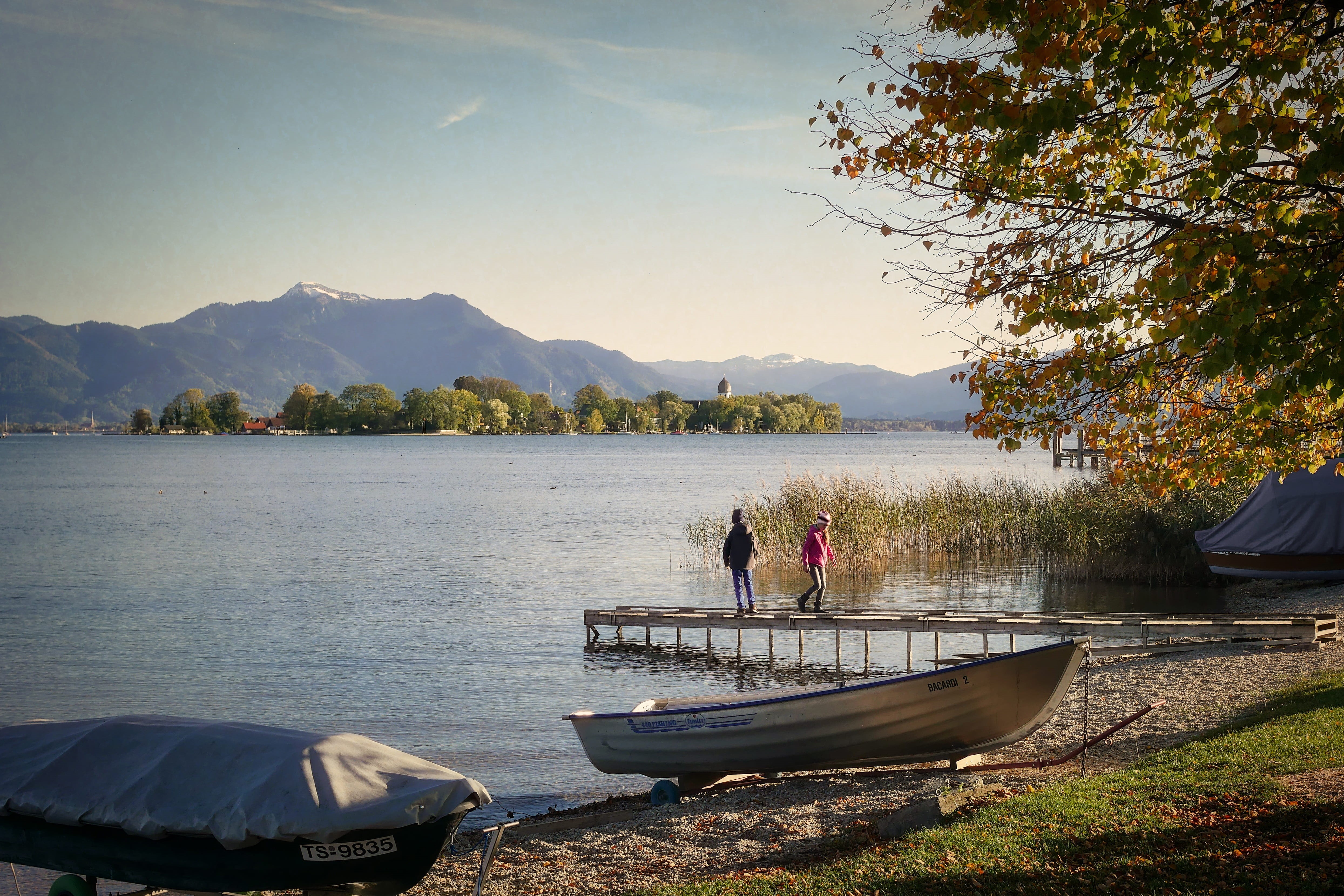 boot, lake, tree, beauty in nature, water, transportation, nature, rear view, travel, waters, mountains, mountain, men, ladies island, 4K, nautical vessel, HD Wallpaper