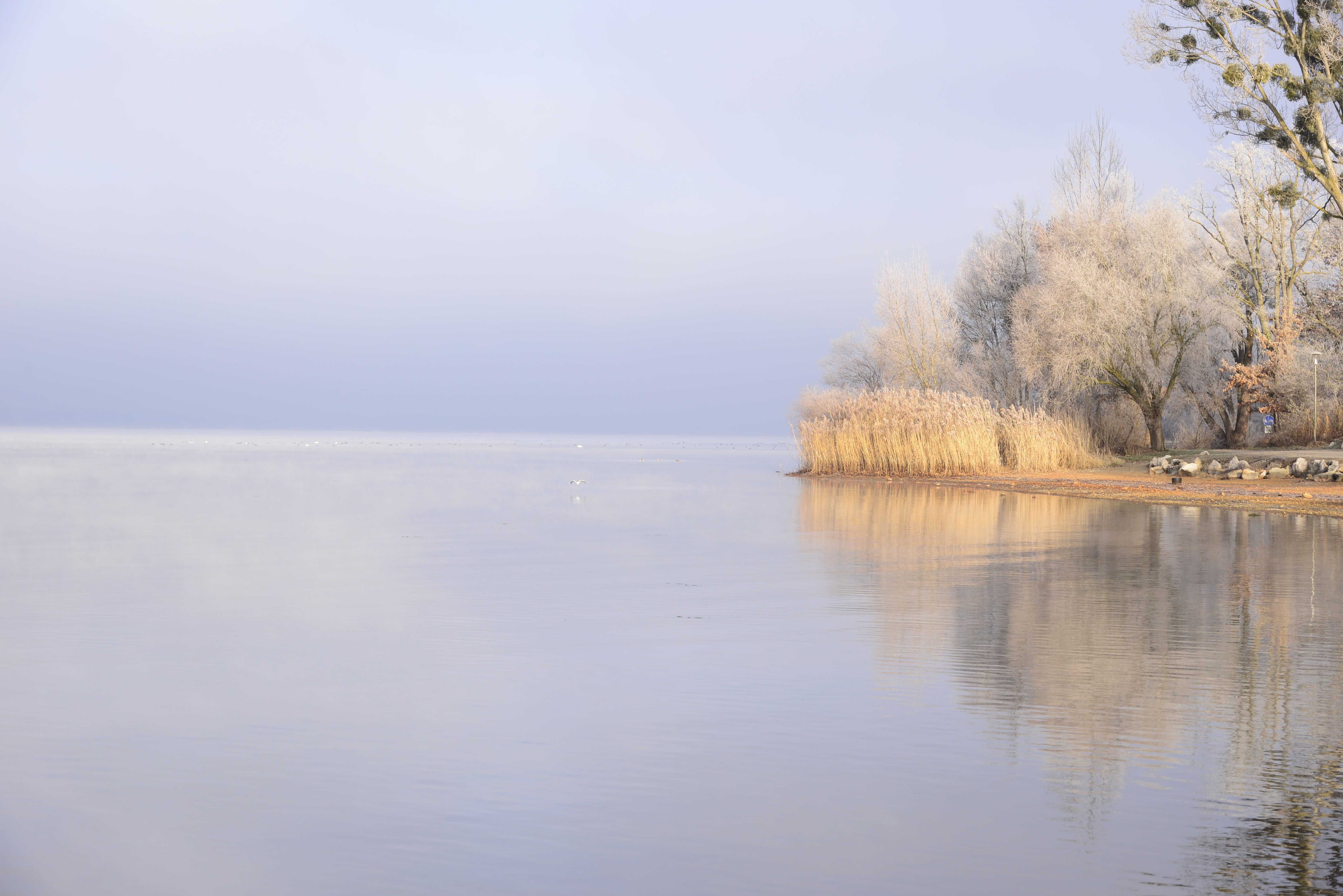 bavaria, horizon over water, outdoors, hoarfrost, winter mood, idyllic, wintry, frozen, scenics - nature, 5K, water, day, winter time, non-urban scene, HD Wallpaper