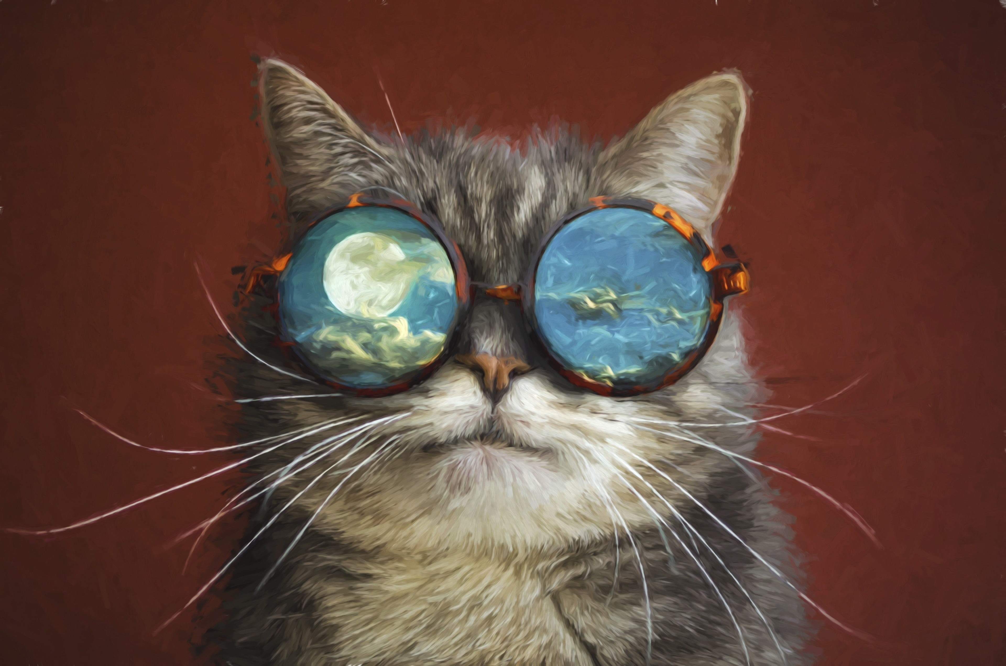 no people, one animal, cat, animal themes, cat 4k wallpapers for mac desktop, eye, black background, domestic, animal body part, mammal, animal, animal head, HD Wallpaper