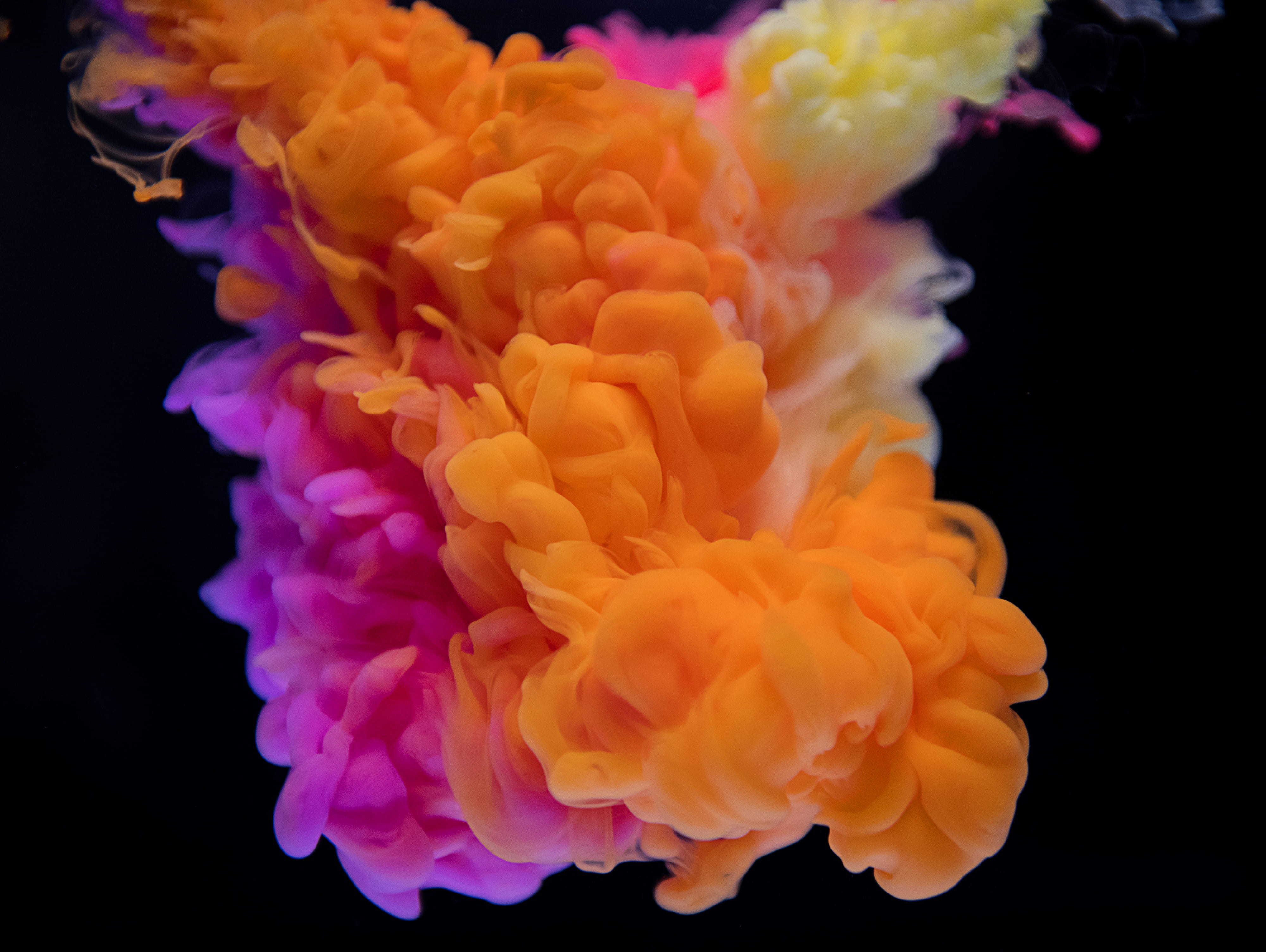nature, abstract, orange color, colorful, orange, pink, smoke, studio shot, 4K, sea, vibrant color, colourful, floating on water, black background, mac, HD Wallpaper