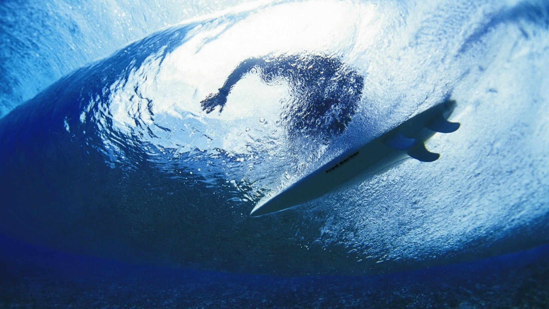 mavericks, undersea, blue, marine, sea, animal, mac, outdoors, mode of transportation, sea life, day, 1080P, x, close-up, hd, os, white, water, nautical vessel, HD Wallpaper