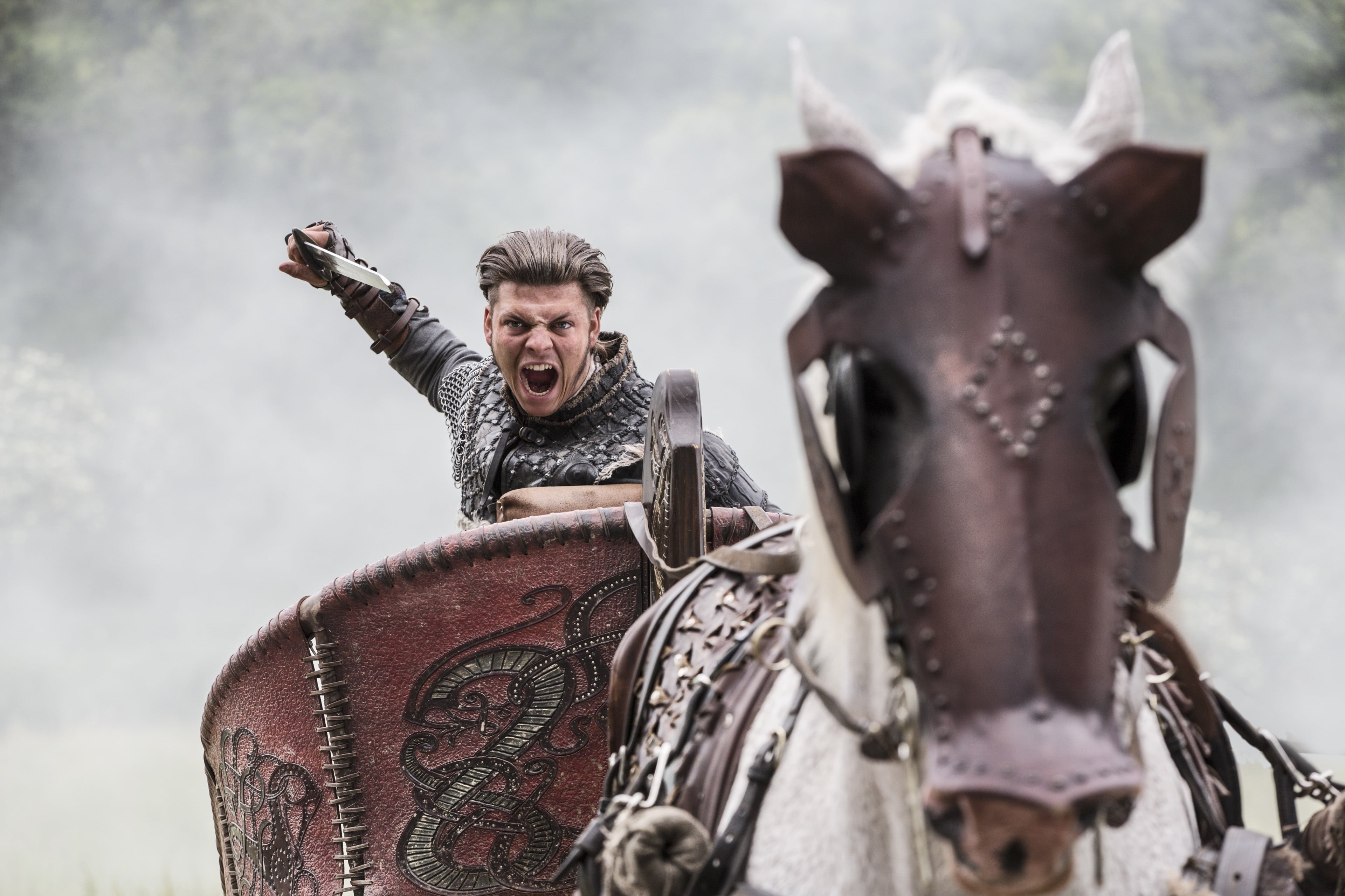mammal, emotion, mouth open, livestock, vikings 4k for mac computers, animal wildlife, 4K, outdoors, front view, domestic animals, portrait, HD Wallpaper