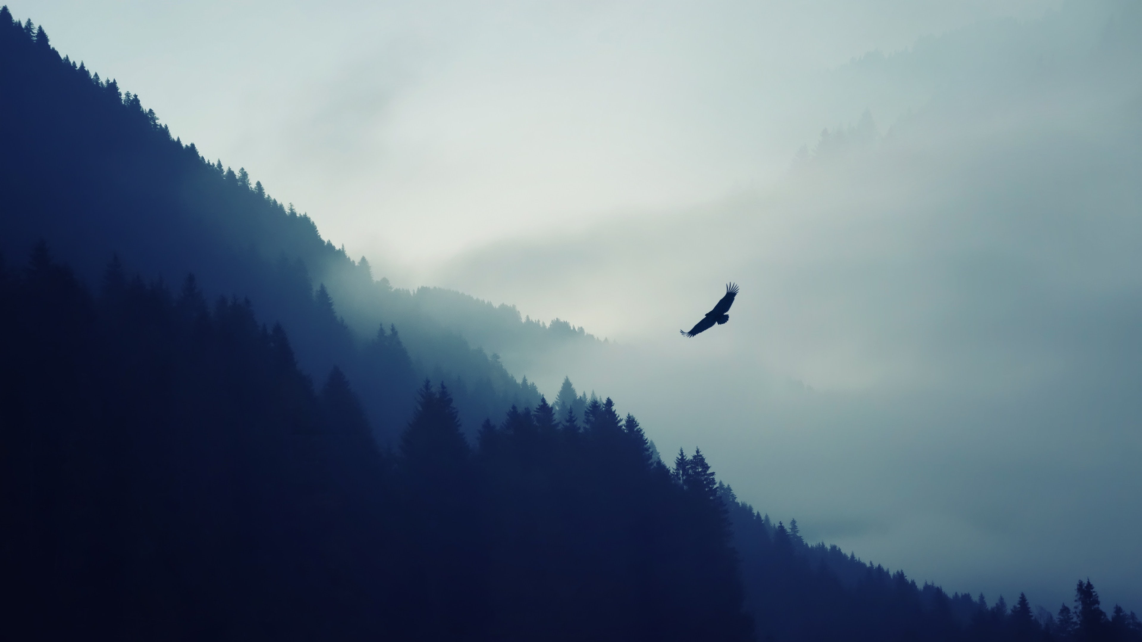 nature, ultrahd, landscape, fog, 4K, mountain, HD Wallpaper