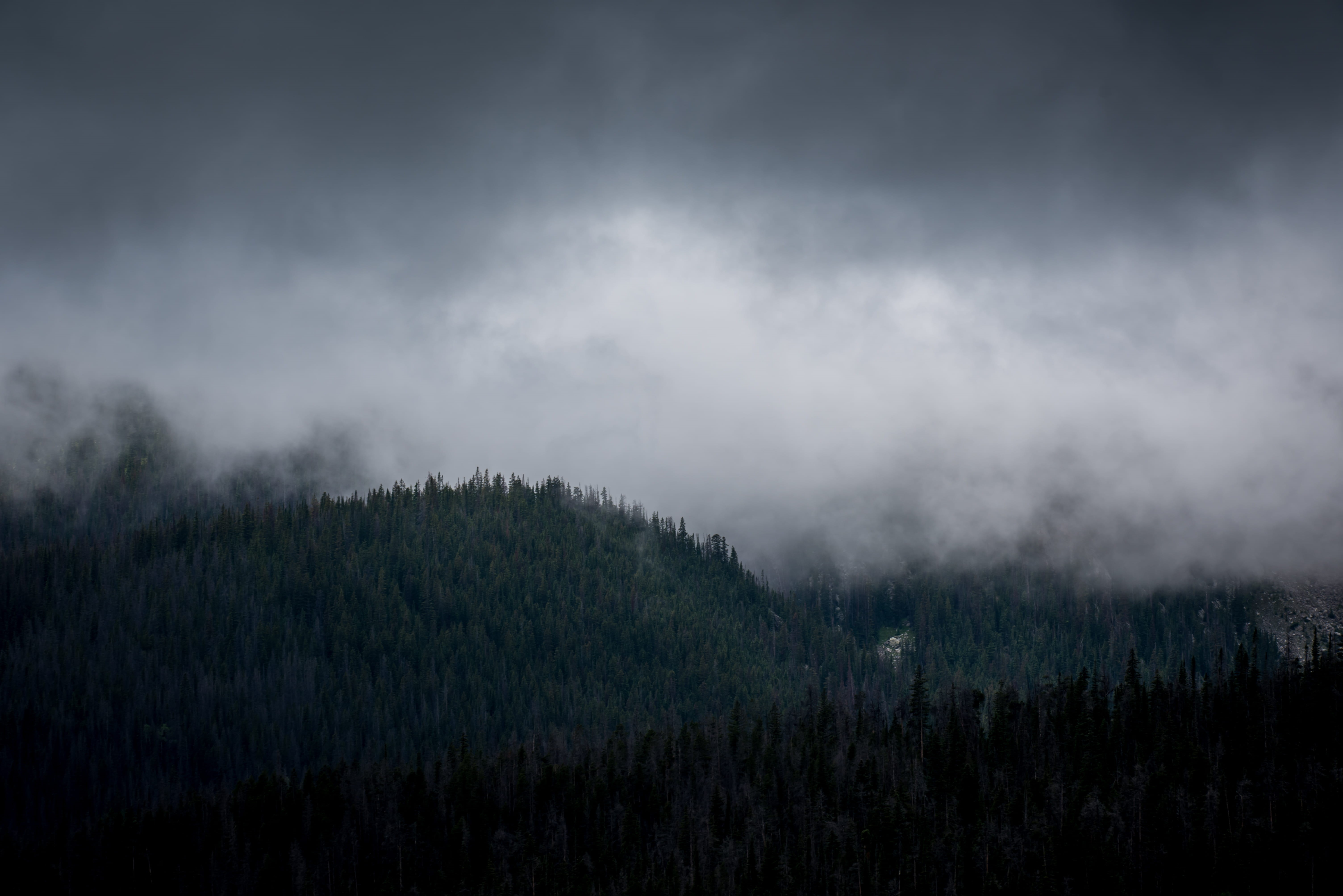non-urban scene, environment, nature, tree, silhouette, no people, cloud - sky, areal, ominous, sky, land, cloudy, outdoors, landscape, woodland, tranquil scene, HD Wallpaper