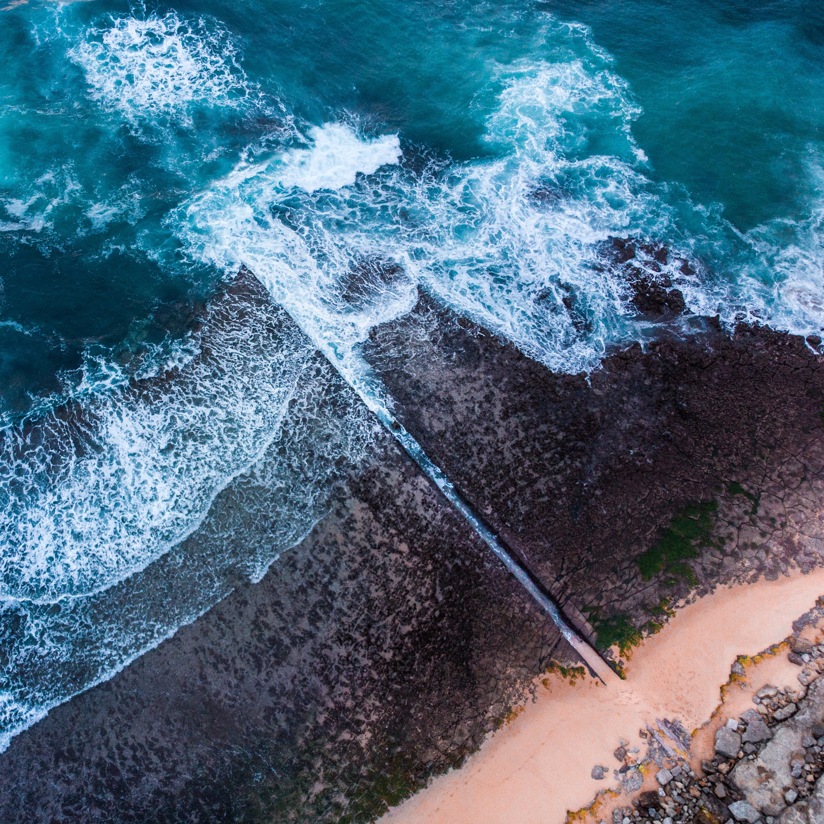 hitting, bird, power in nature, flowing water, high angle view, rock - object, splashing, discover, water, outdoor, breaking, coastline, sea, beauty in nature, Phone HD Wallpaper