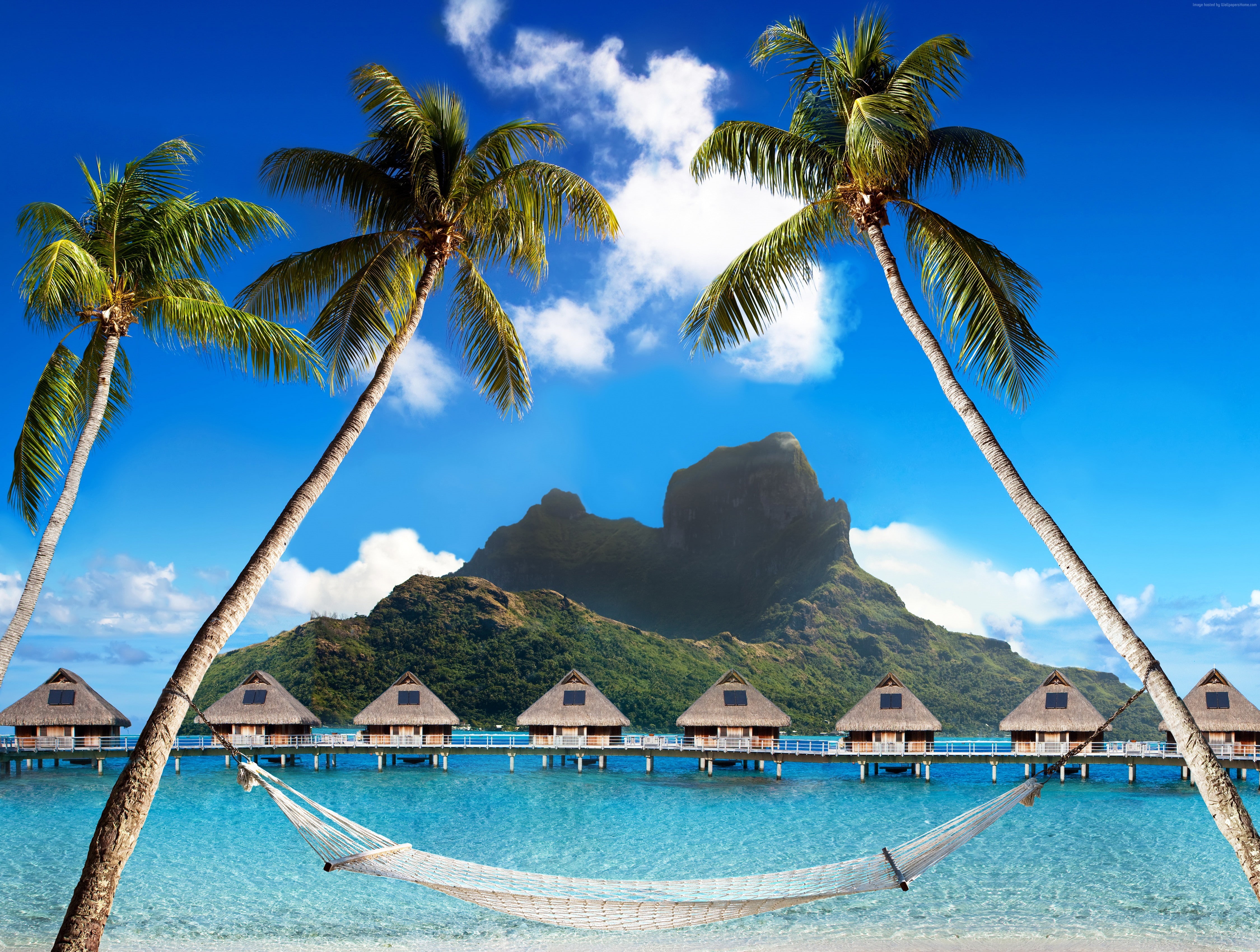vacation, rest, beach, 4k, Bora Bora, booking, 5k, palm trees, French Polynesia, Best Hotels of 2017, travel, ocean, Best beaches of 2017, hammock, mountains, HD Wallpaper