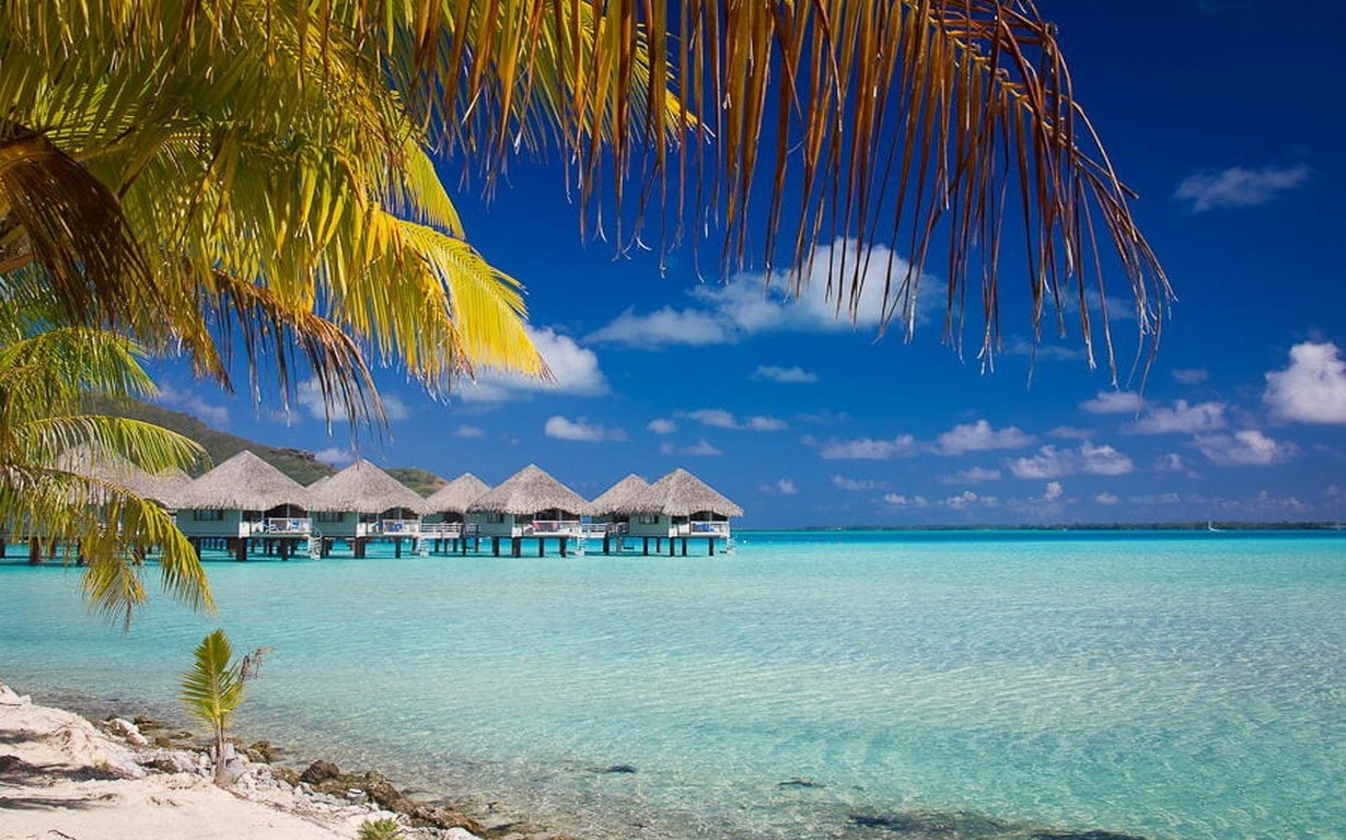 beach, thatched roof, blue, tropical, palm trees, built structure, summer, palm leaf, tranquility, scenics - nature, water, horizon over water, 480P, turquoise colored, HD Wallpaper
