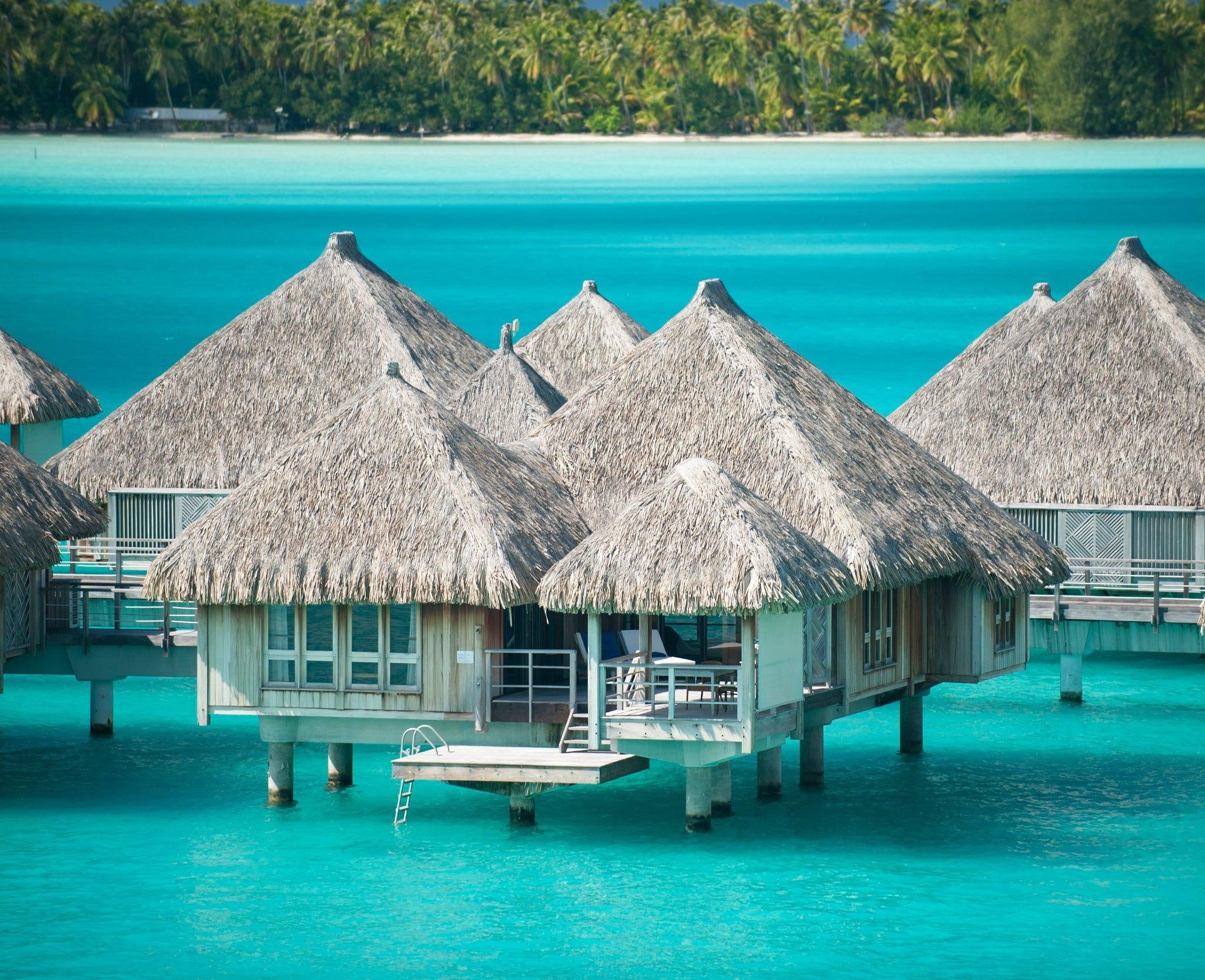 hotel, st regis, water bungalow, bungalow, bora, lagoon, tahiti, reef, island, water, brown, beach, white, st, atoll, sand, hut, 1080P, ocean, coral, regis, HD Wallpaper