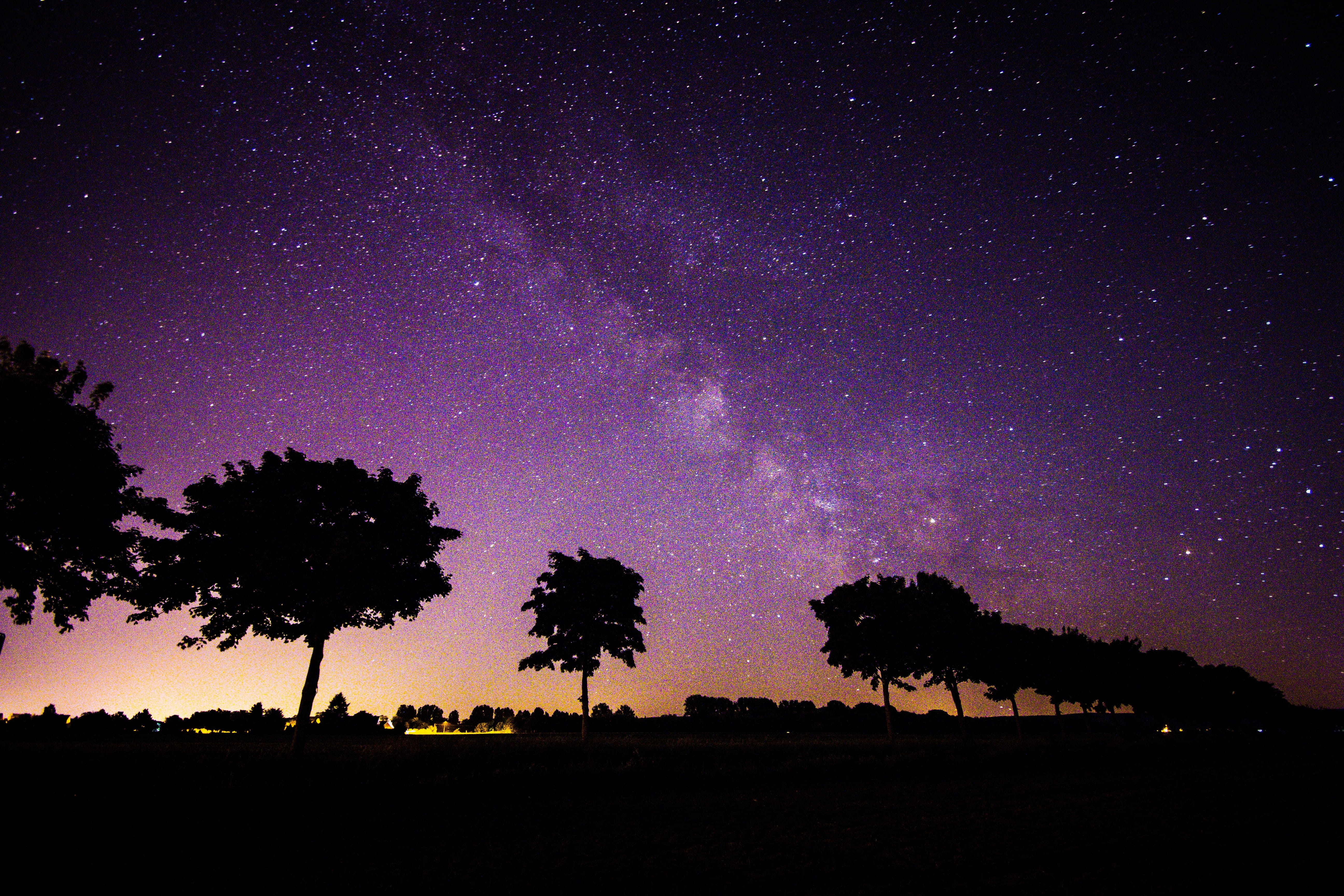 night sky, galaxy, astronomy, shadow, idyllic, no people, evening sky, sunset, photo, night, background, 5K, sphinx, long exposure, purple, plant, star - Space, HD Wallpaper