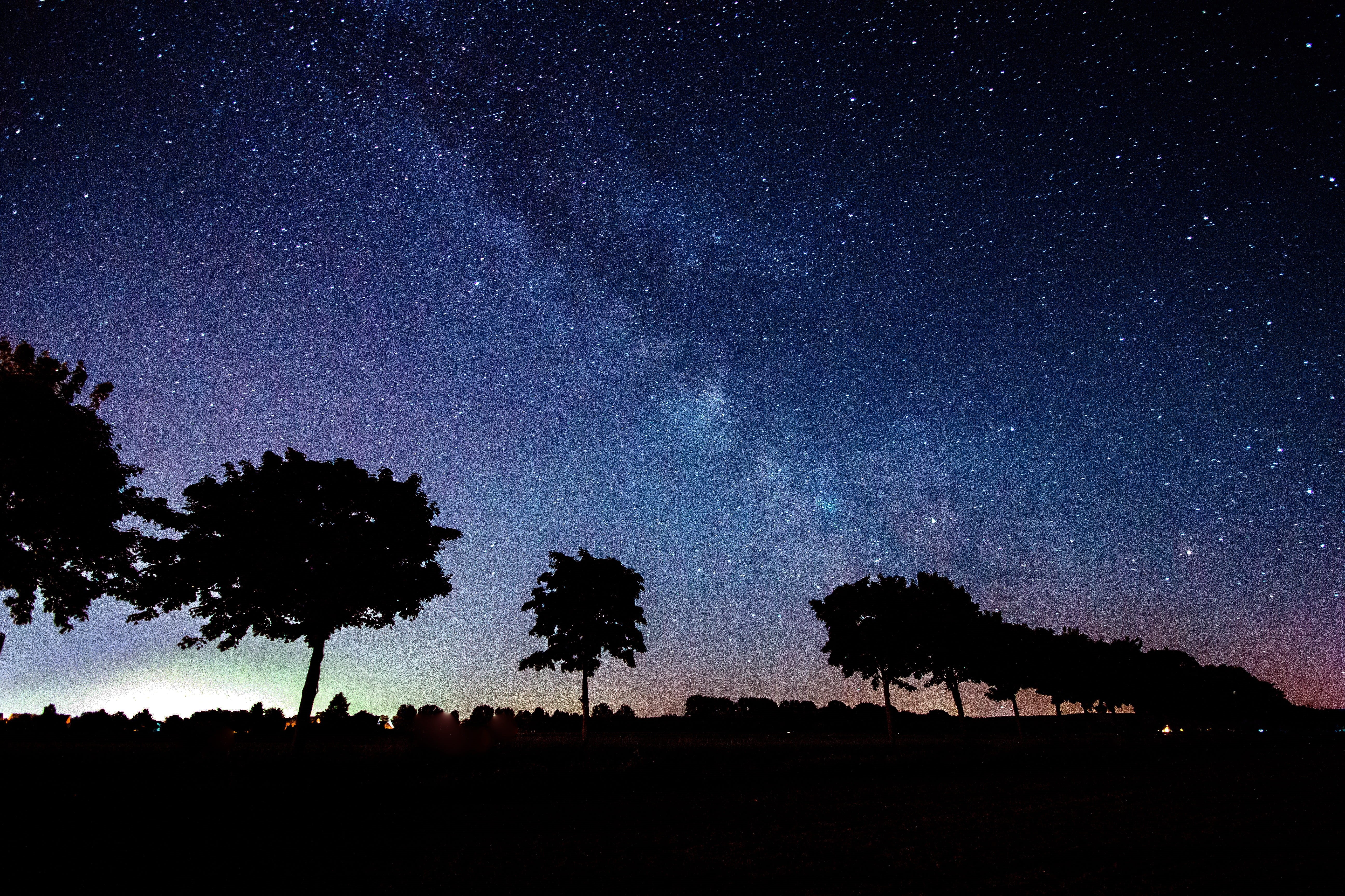 plant, cosmos, star, tranquil scene, skies, panorama, mood, milky way, nature, constellation, long exposure, space and astronomy, silhouette, trees, space, HD Wallpaper