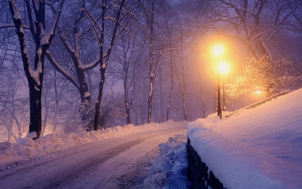 bare tree, direction, street, frozen, tree, lights, no people, plant, nature, covering, 480P, scenics - nature, cold, road, snowcapped mountain, lantern, HD Wallpaper