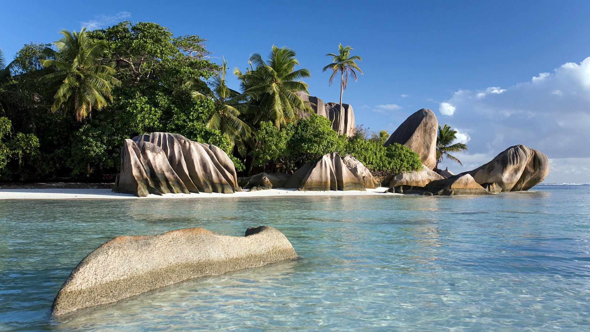coconut palm tree, beach, vacation, luxury, sea, water, beauty in nature, anse source dargent, day, bay, swimming pool, tropical tree, body of water, tropics, HD Wallpaper