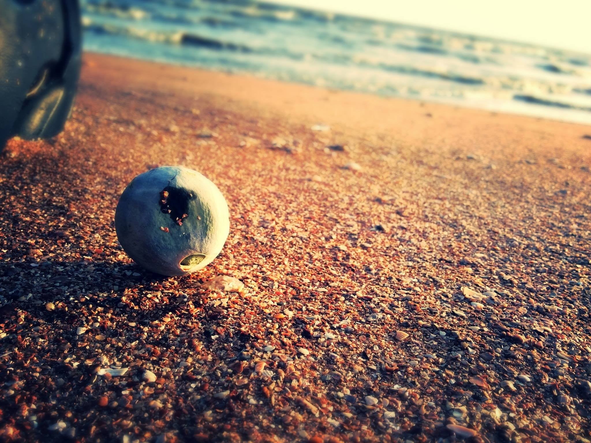 nature, summer, still life, no People, sunlight, blue, planet - Space, fruit, outdoors, vacations, pebble, copy Space, beach, day, ball, travel, wood - material, HD Wallpaper