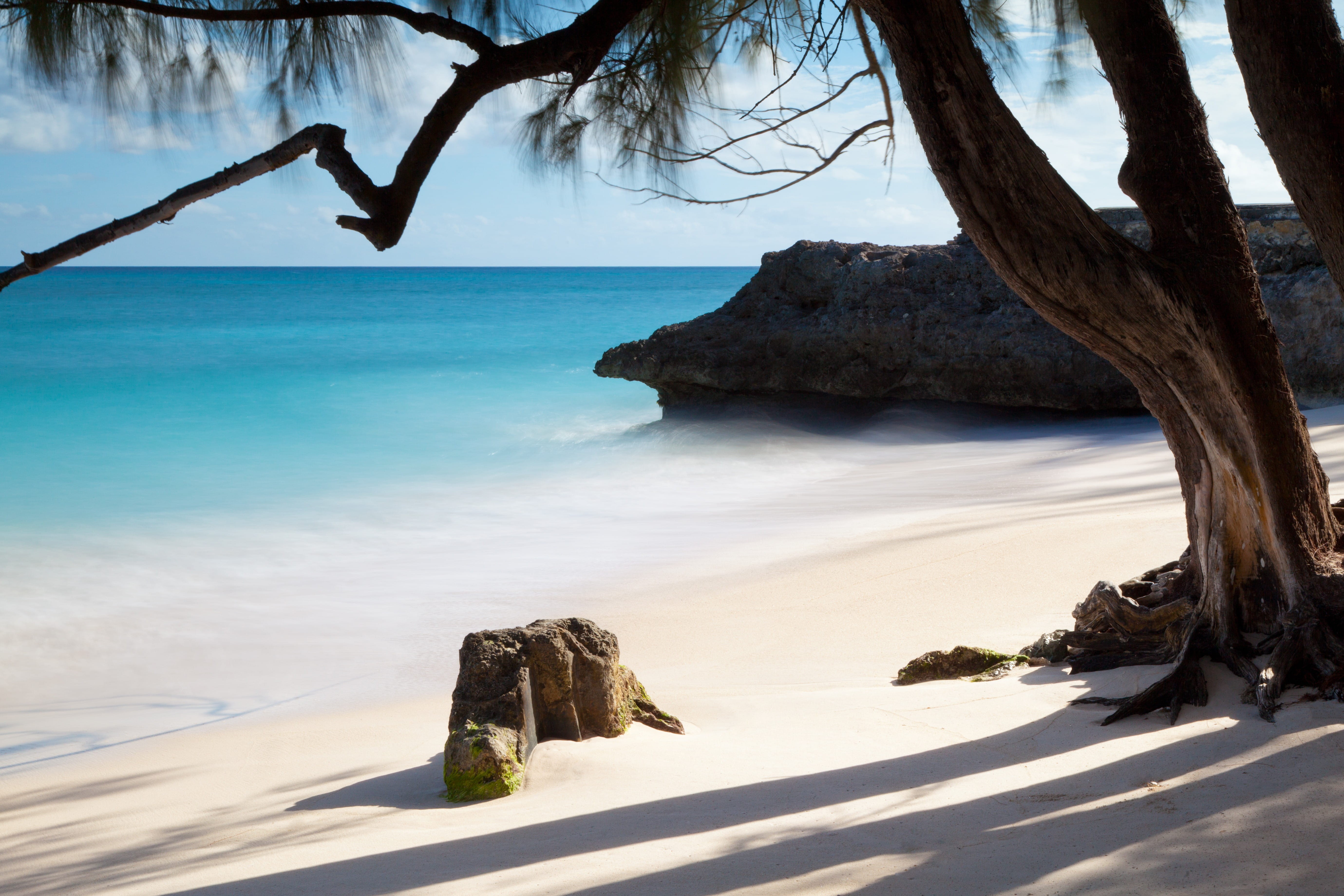 rock, trees, 5K, tropical Climate, coastline, summer, beaches, tree trunk, sea, day, island, scenics - nature, landscape, idyllic, vacations, time, horizon, HD Wallpaper