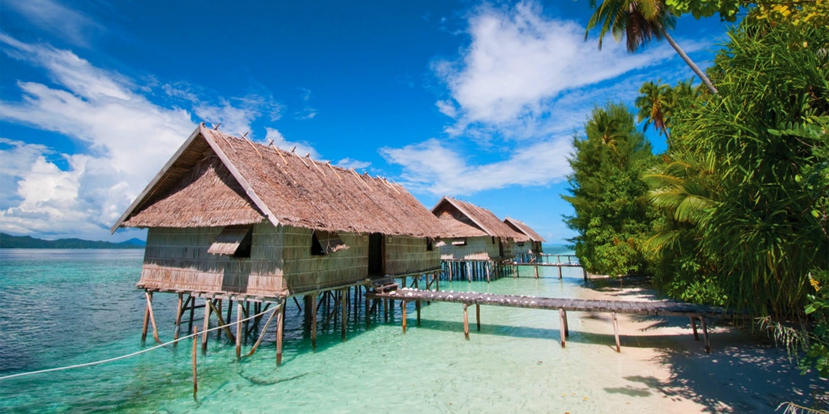 outdoors, house, day, tree, tropical, hut, building, waterfront, 720P, landscape, wood - material, residential district, palm trees, tranquility, built structure, HD Wallpaper