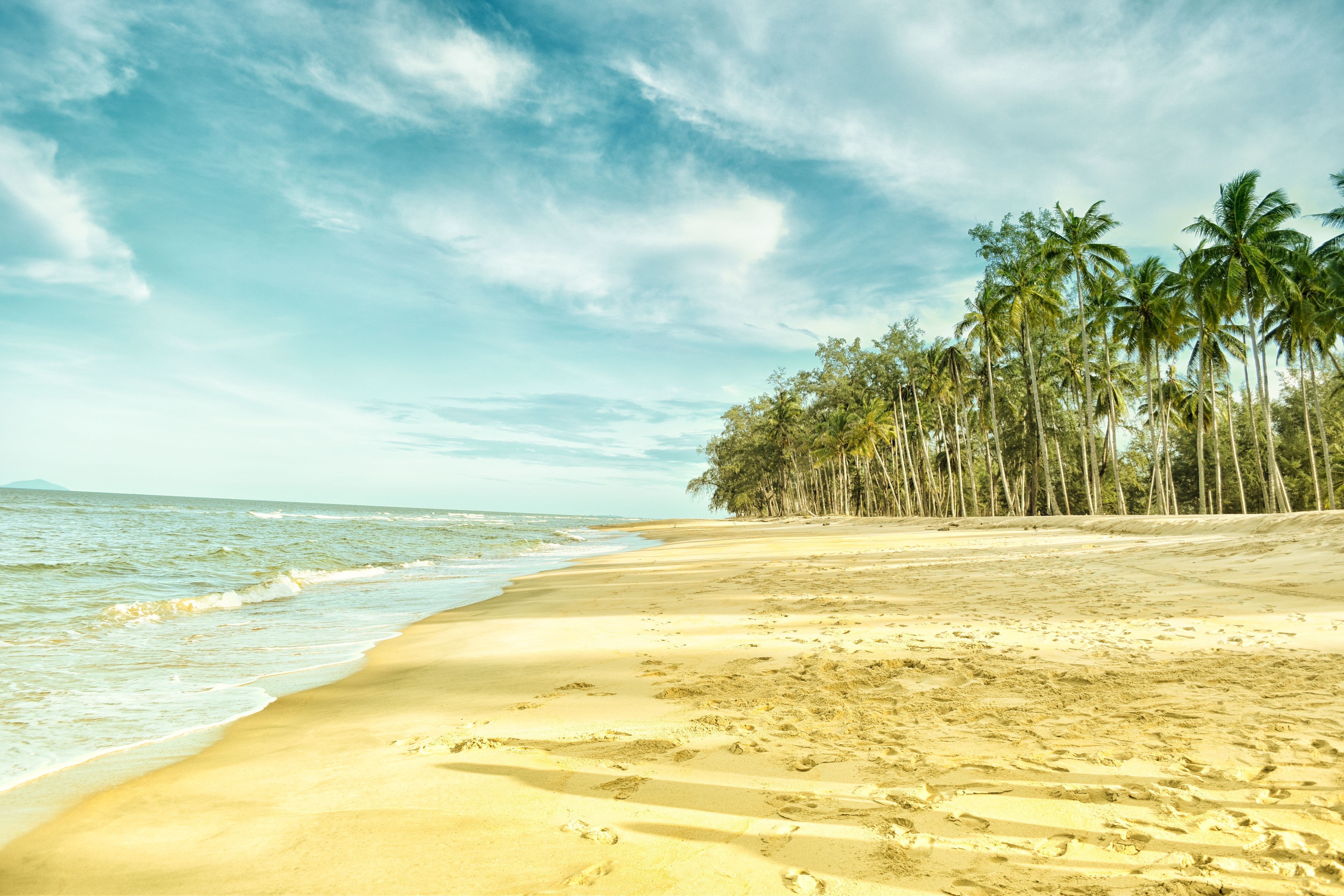 bodies, sky, tranquil scene, sun, paradise, summer, coast, tropical tree, landscape, Beach, sunny, relaxation, day, nature, palm tree, travel, cloud, tropical climate, HD Wallpaper