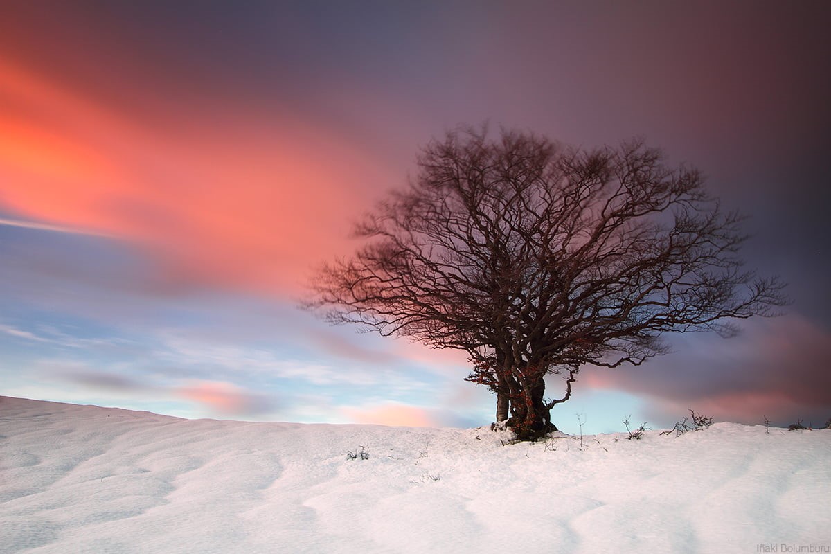 sunset, long  exposure, mountain, photograph, nafarroa, covered, invierno, winter, snow, tree, urbasa, navarra, landscape, Medusa, 480P, HD Wallpaper