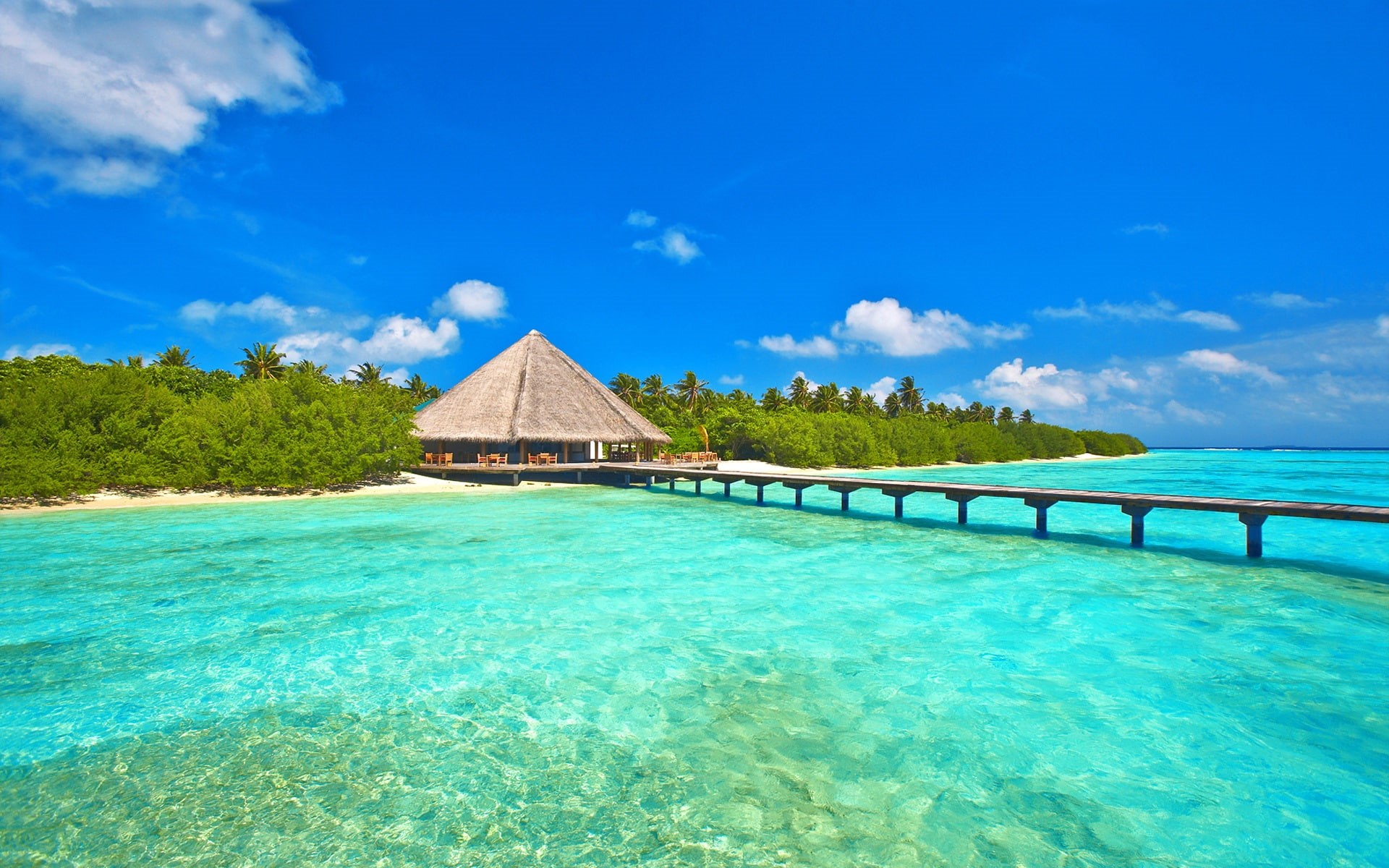 Trees, Maldives, Island, Sky, 1080P, Palm, Sea, Pier, Bungalows, Ocean, Bridge, HD Wallpaper