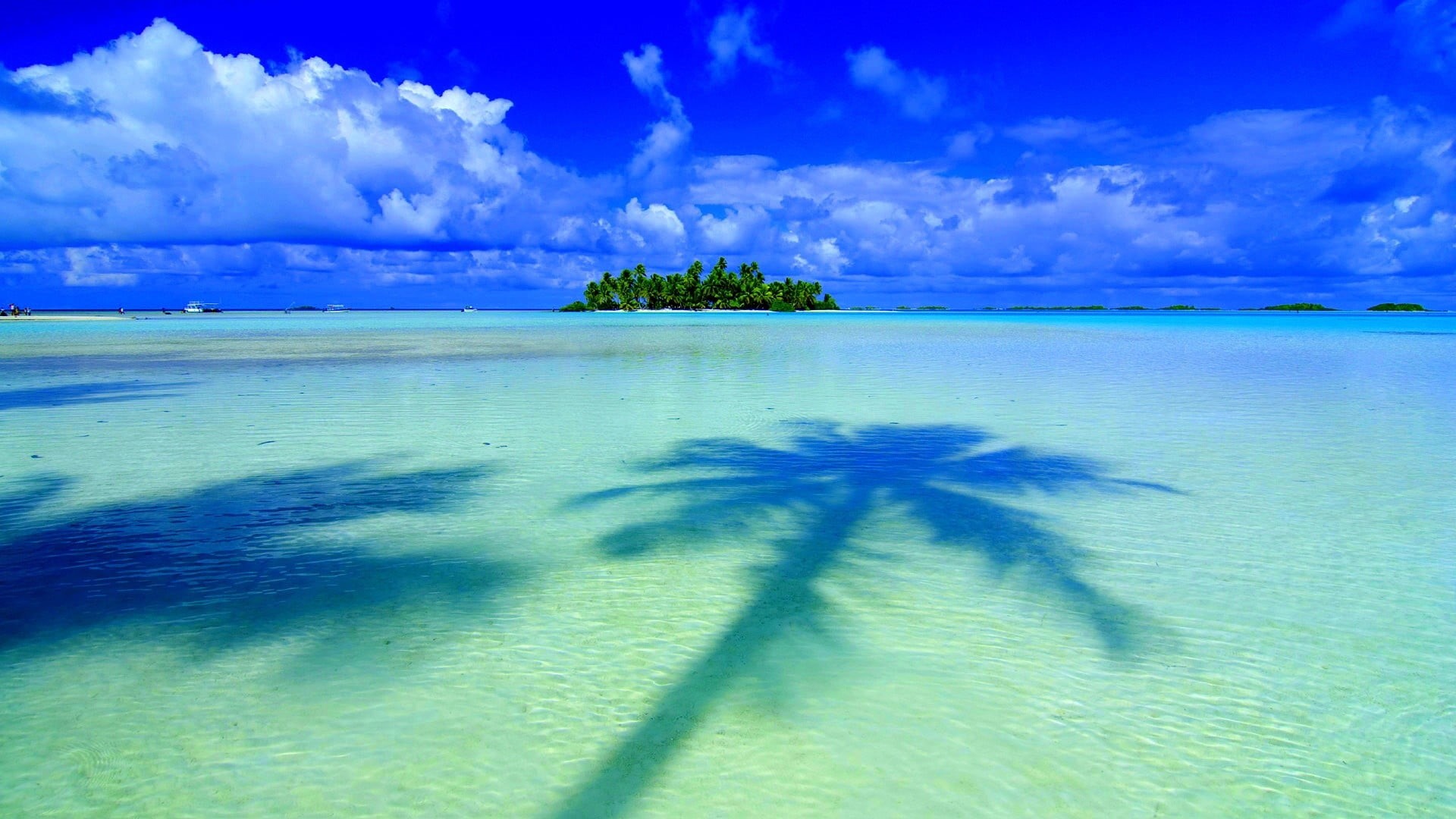 outdoors, coconut palm tree, turquoise colored, tahiti, island, nature, tranquility, shadow, sky, beauty in nature, blue, plant, sea, tropical tree, tropical climate, HD Wallpaper