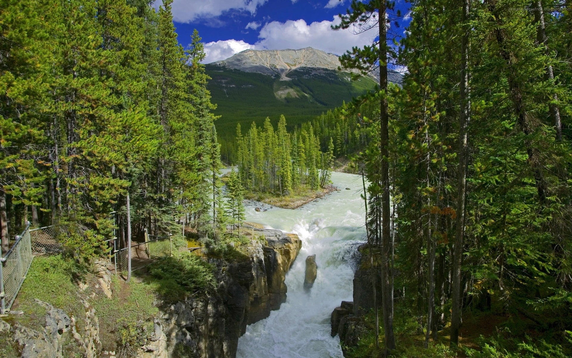 alberta, water, pine, hiking, environment, uSA, tranquil scene, canada, rock - Object, plant, greens, travel, wood, stream, national Park, lake, non-urban scene, HD Wallpaper
