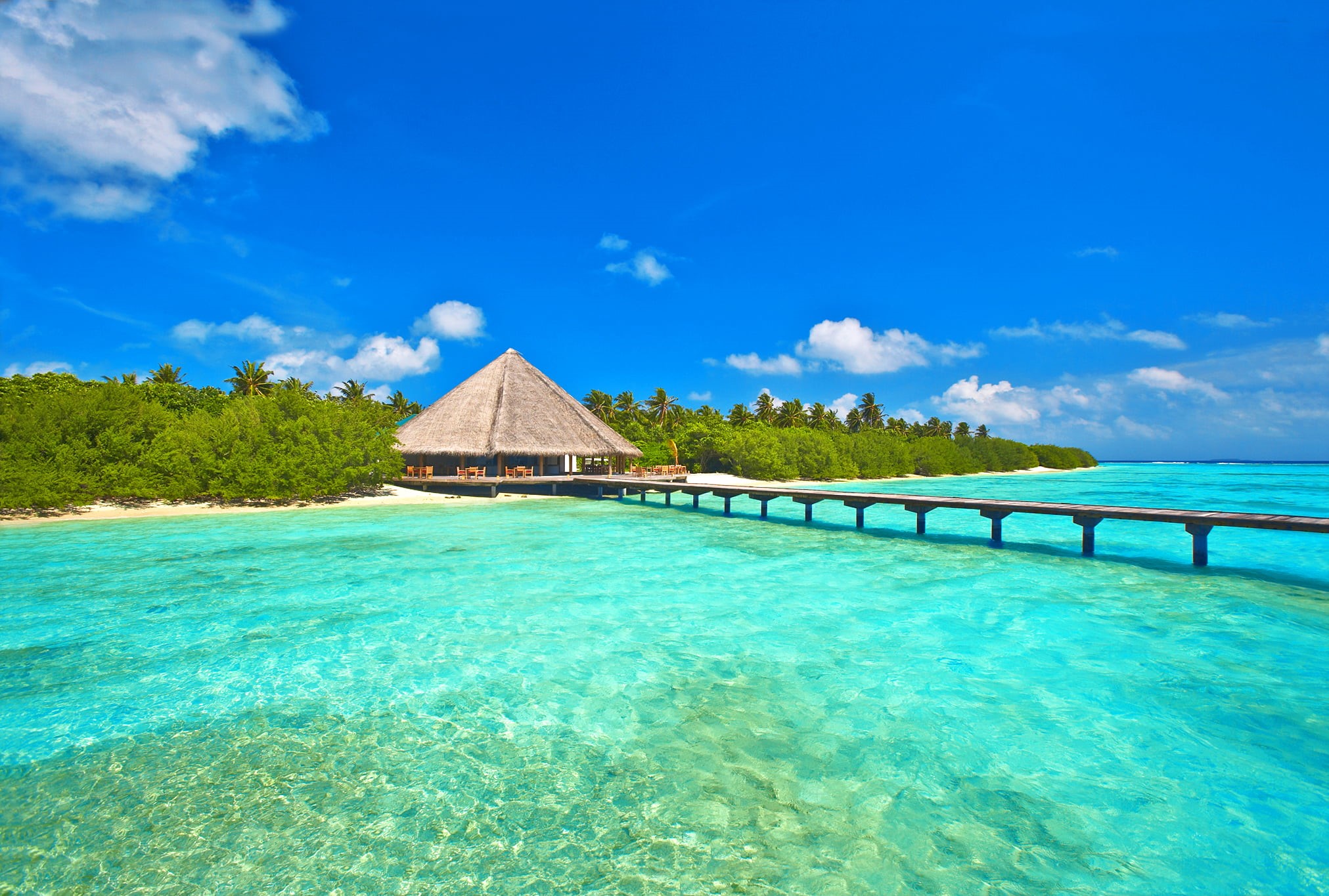 exoticism, brown, cloud - Sky, maldives, outdoors, 1080P, the ocean, day, the sky, palm trees, the bridge, Bungalow, island, summer, built structure, landscape, HD Wallpaper
