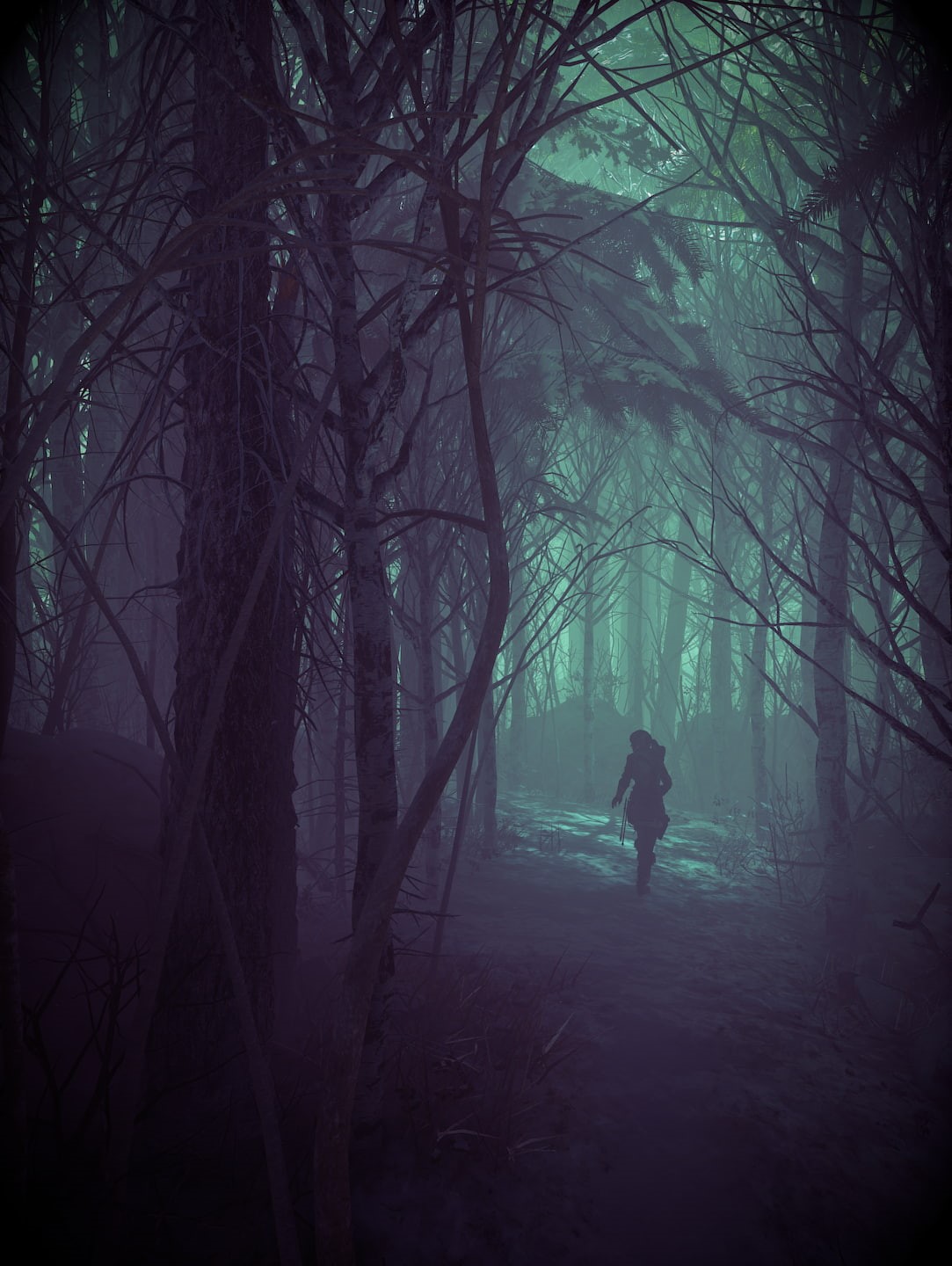 tranquility, forest, spooky, tree, walking, nature, adult, bare tree, solitude, fog, dark, standing, Lara Croft, outdoors, Tomb Raider, non-urban scene, Phone HD Wallpaper