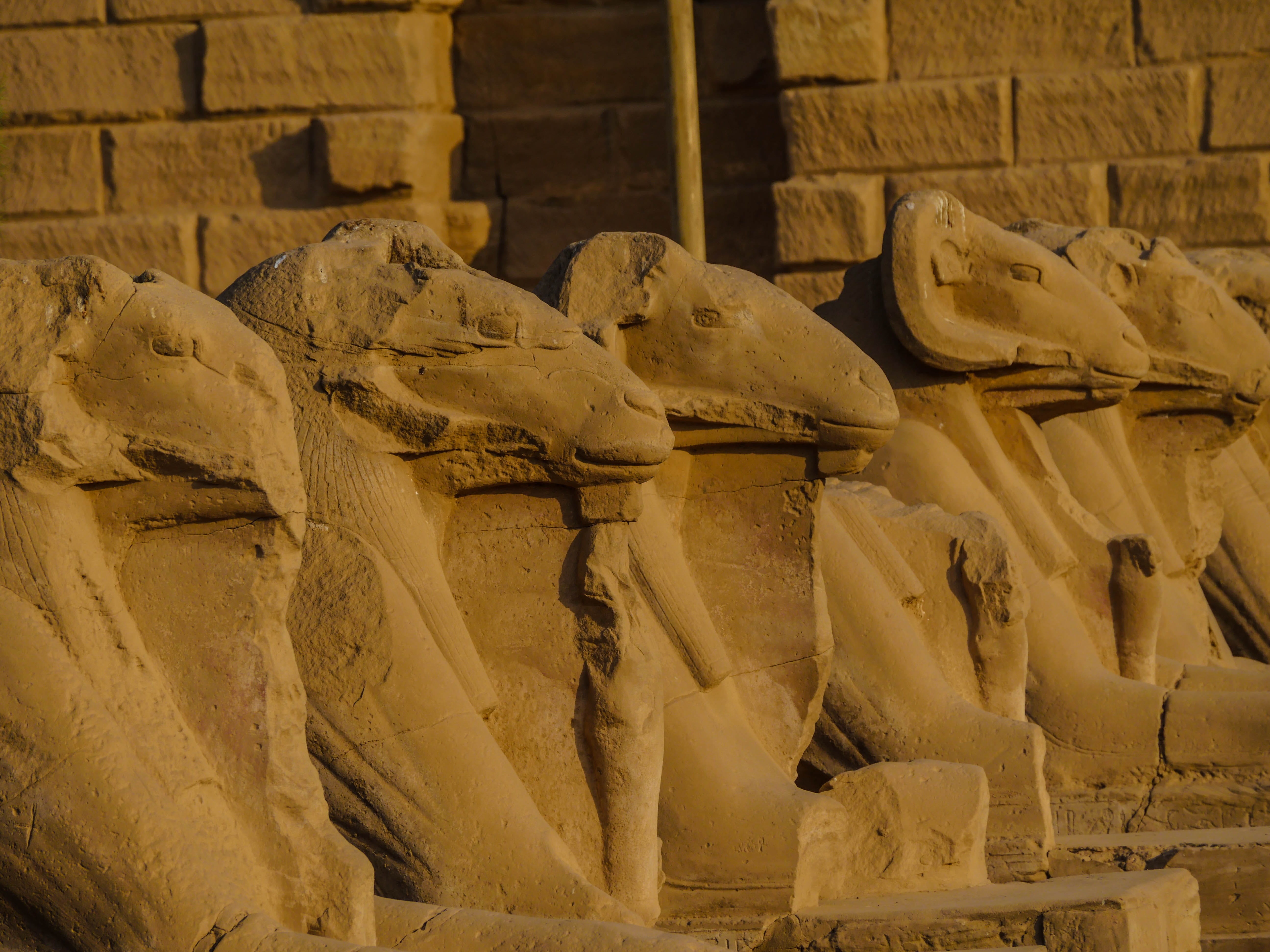 religion, civilization, antiquity, ruins, art, antique, egypt, history, large group of objects, no people, 5K, architecture, sculptor, ancient, head, ram head, HD Wallpaper