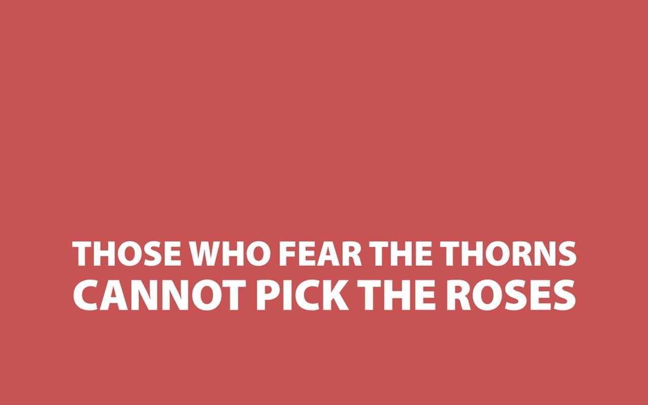 no people, warning sign, studio shot, roses, quote, script, close-up, copy space, communication, simple background, thorns, fear, western script, healthcare and medicine, HD Wallpaper
