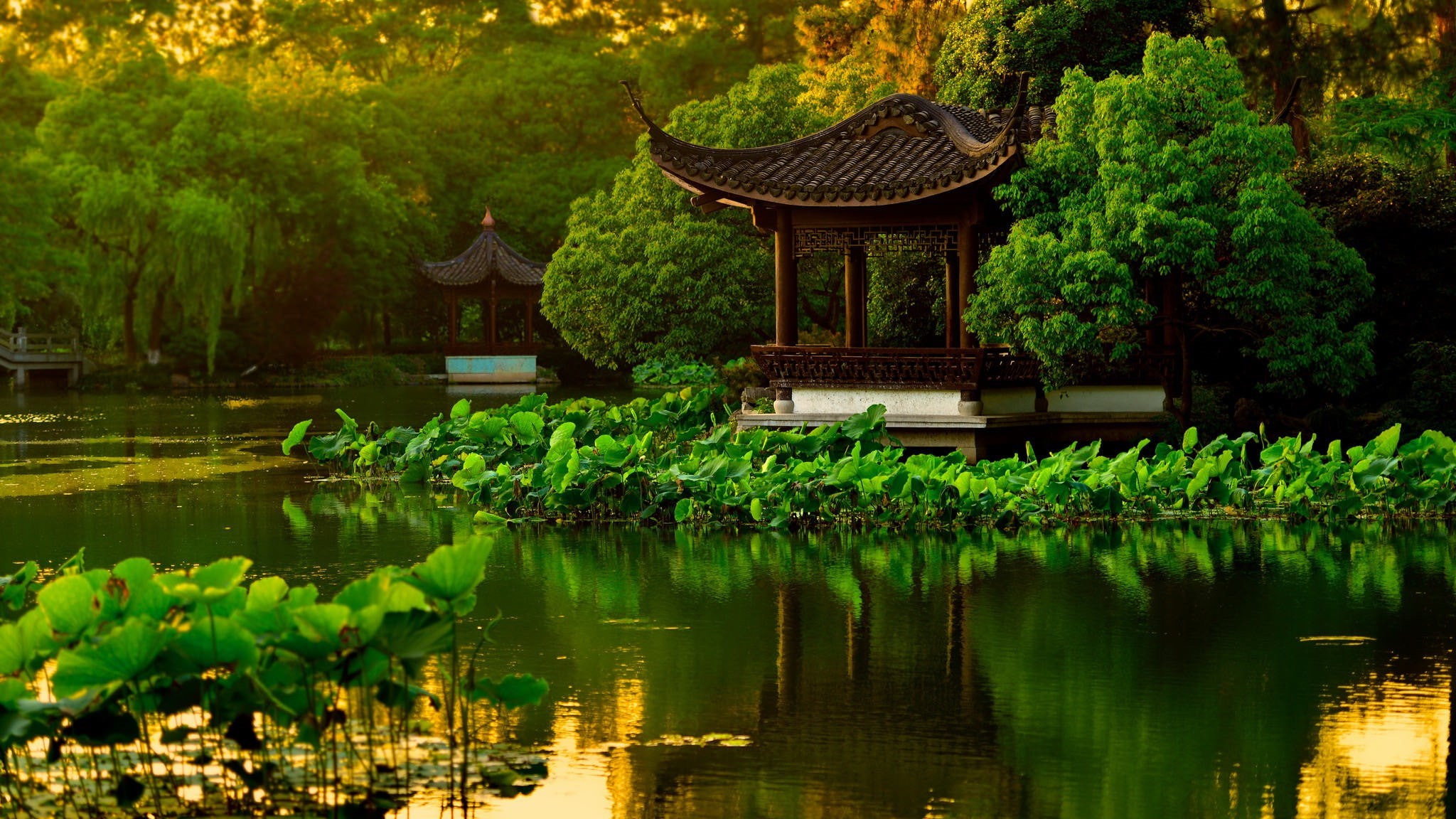 nature, tranquility, plant, waterfront, built structure, building exterior, religion, growth, Japanese Garden, reflection, architecture, no people, 1080P, HD Wallpaper