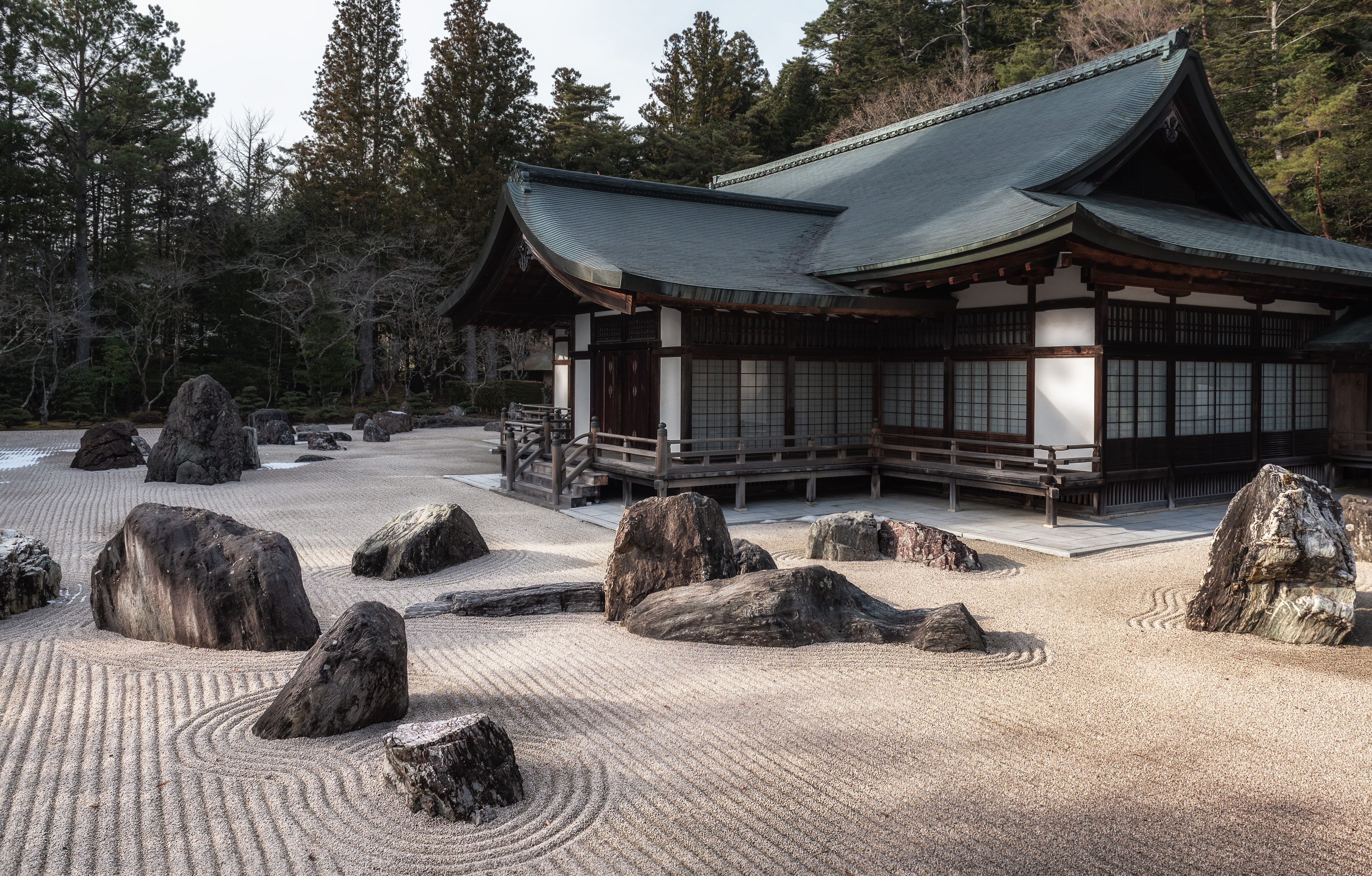 bear, abies, shrine, plant, house, solid, worship, mammal, animal, dry landscape, 5K, temple, architecture, fir, day, sky, building, place of worship, HD Wallpaper