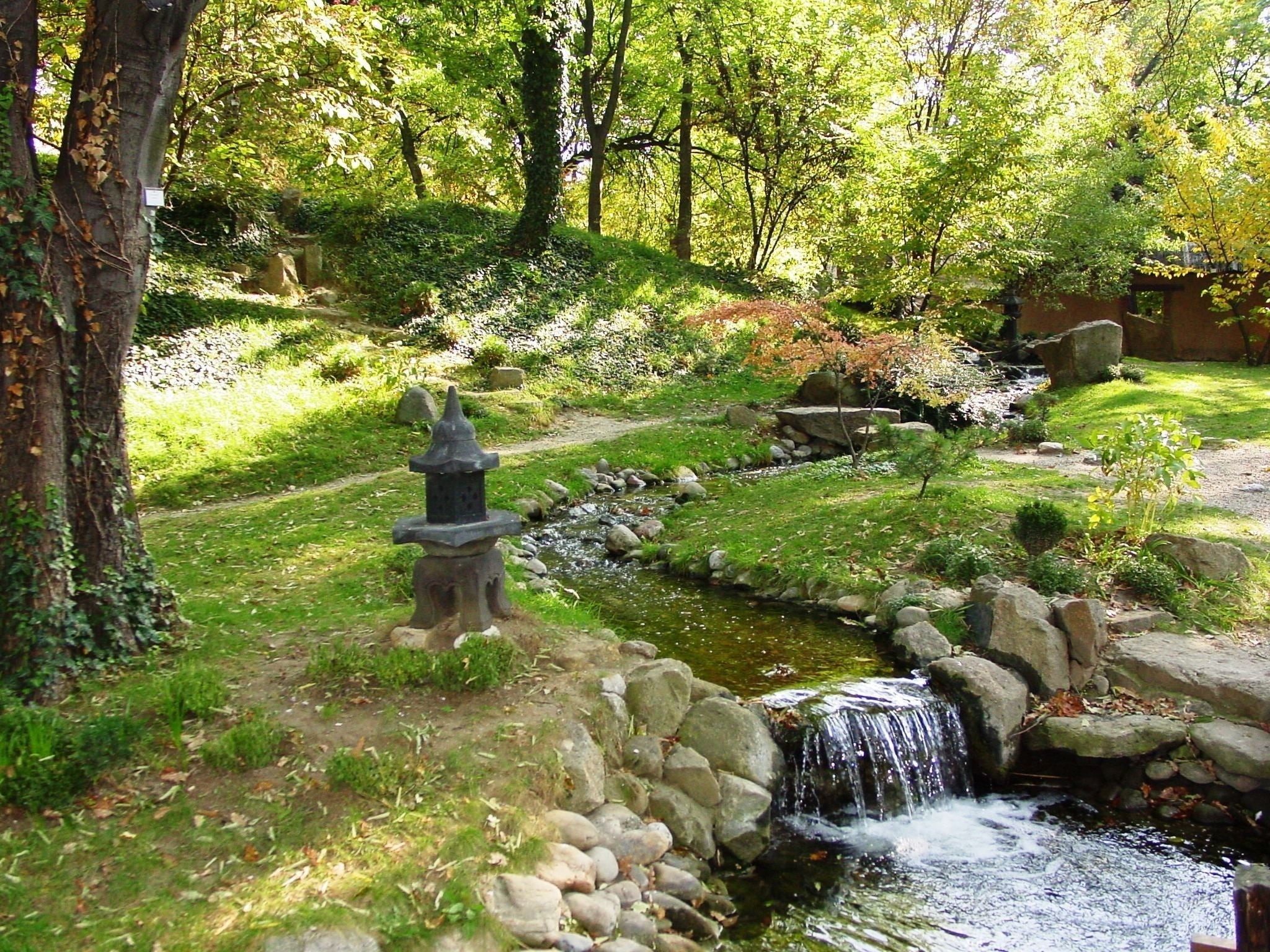 forest, field, rock, nature, land, Japanese Garden, grass, growth, real people, tranquility, green, outdoors, motion, day, rock - object, flowing water, HD Wallpaper