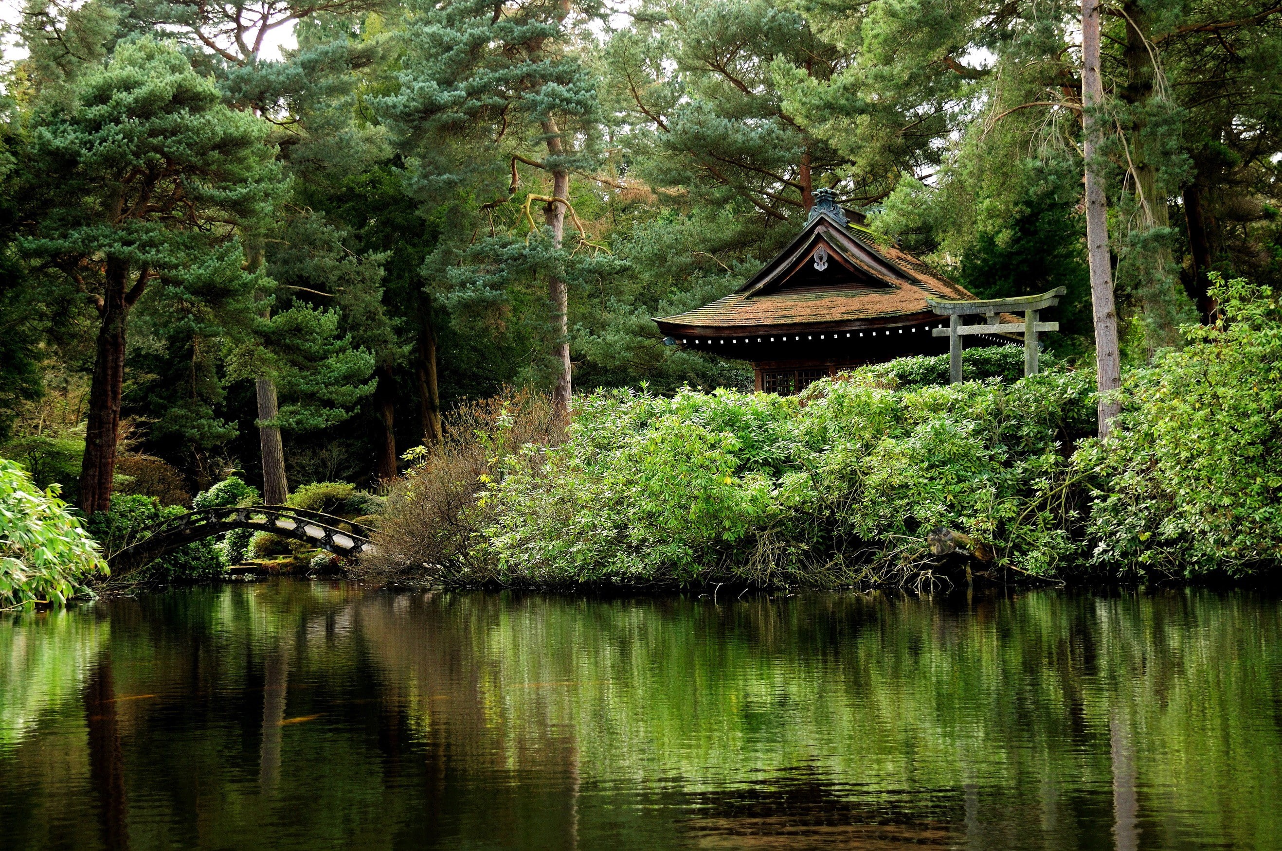 no people, tranquility, tree, green color, forest, building exterior, 2K, day, waterfront, architecture, plant, beauty in nature, lake, built structure, HD Wallpaper