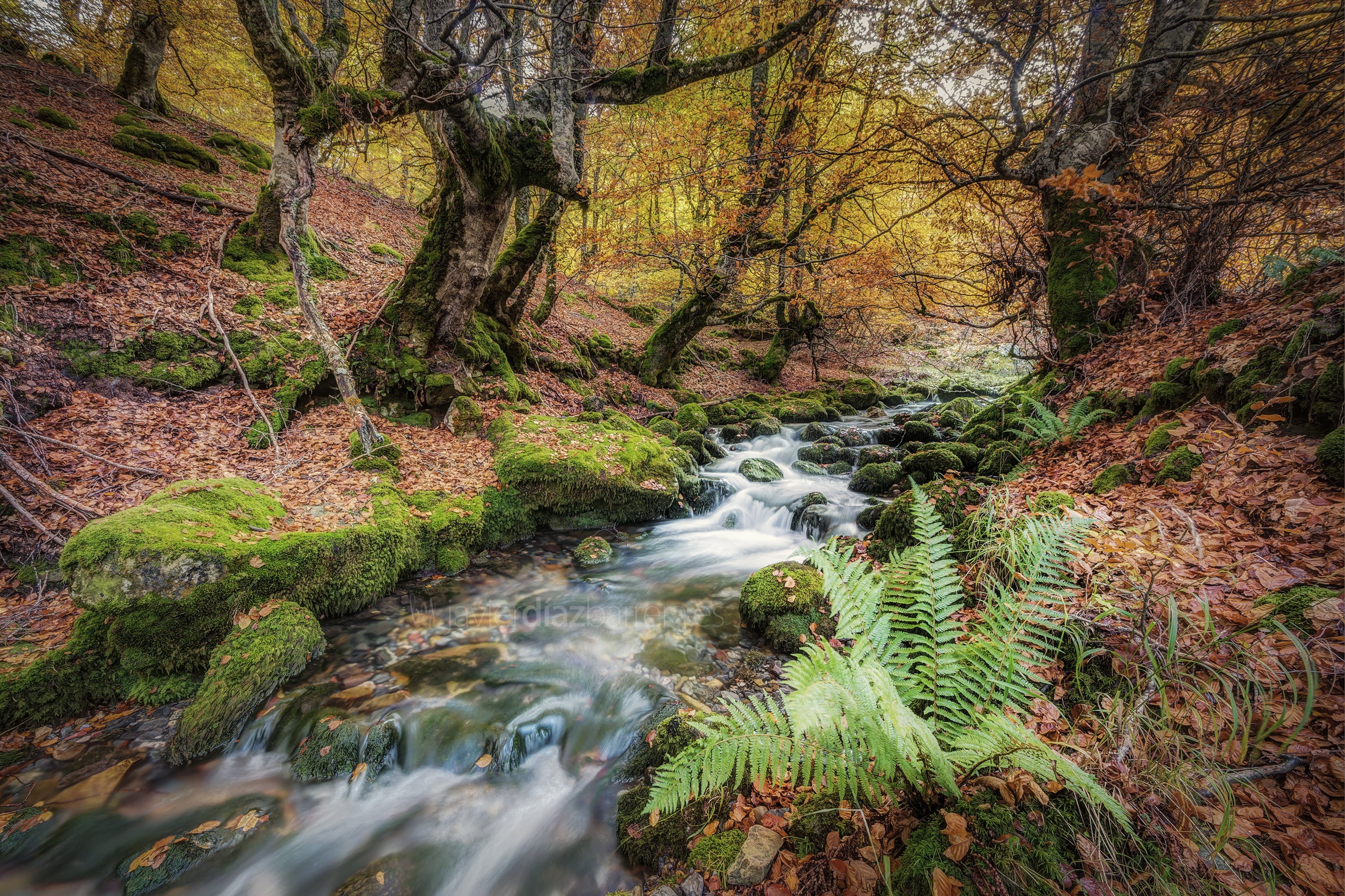 landscape, es, outdoors, cascading, beauty In Nature, flowing Water, beech forest, colour, photo, freshness, Barrera, trees, León, scenics, autumn, waterfall, HD Wallpaper