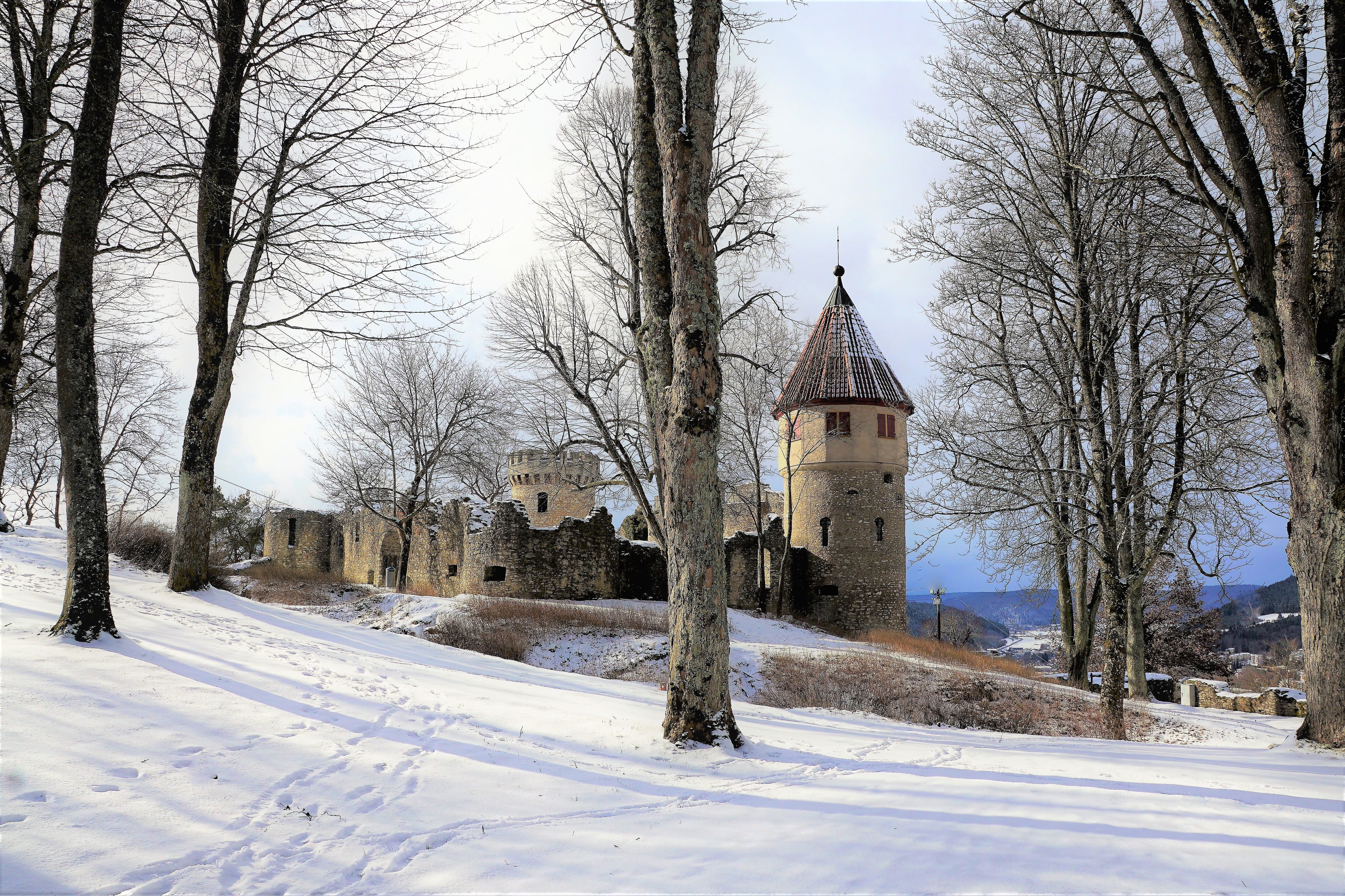 fir tree, nature, maple, mountain, ruin, winter, place of worship, belief, snow, advent, built structure, castle, building exterior, bare tree, sky, honing mountain, HD Wallpaper