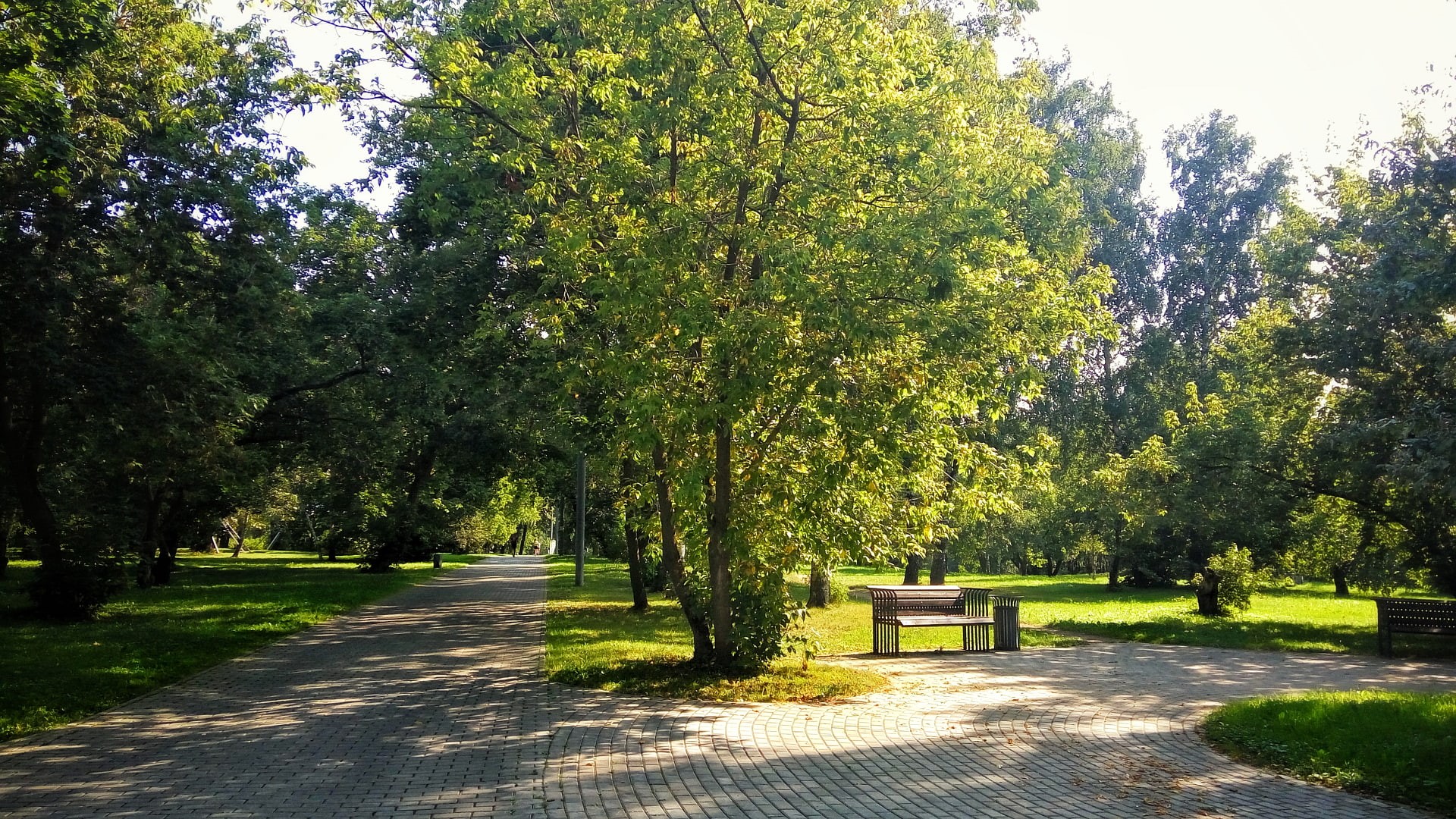 trees, summer, bench, park, green, 1080P, dappled sunlight, pavements, HD Wallpaper