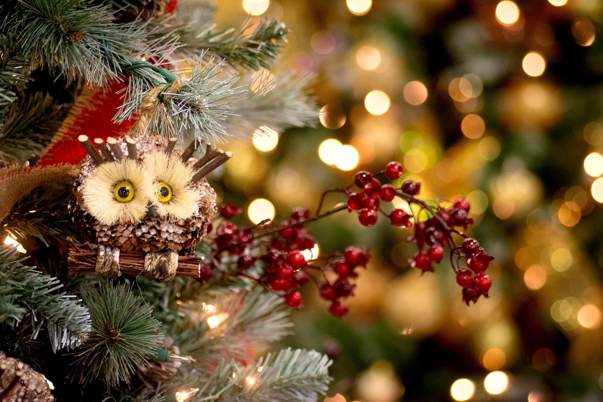 Berries, owl, toys, holly, tree, Holiday, spruce, new, New Years, year, New Year, Red, Christmas, 1080P, decoration, winter, HD Wallpaper