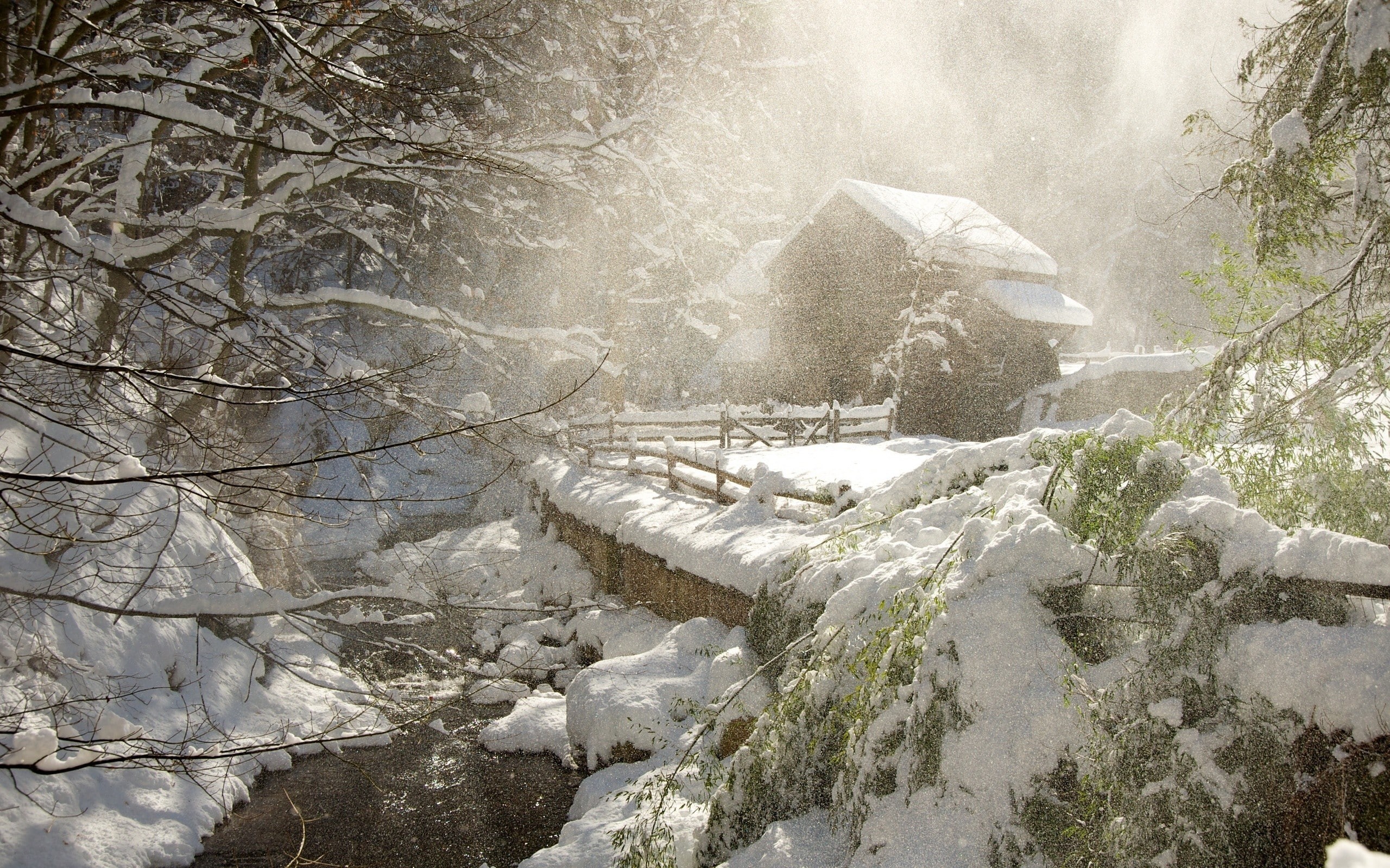 forest, cottage, stream, winter, 2K, cabin, nature, trees, hd, snow, HD Wallpaper