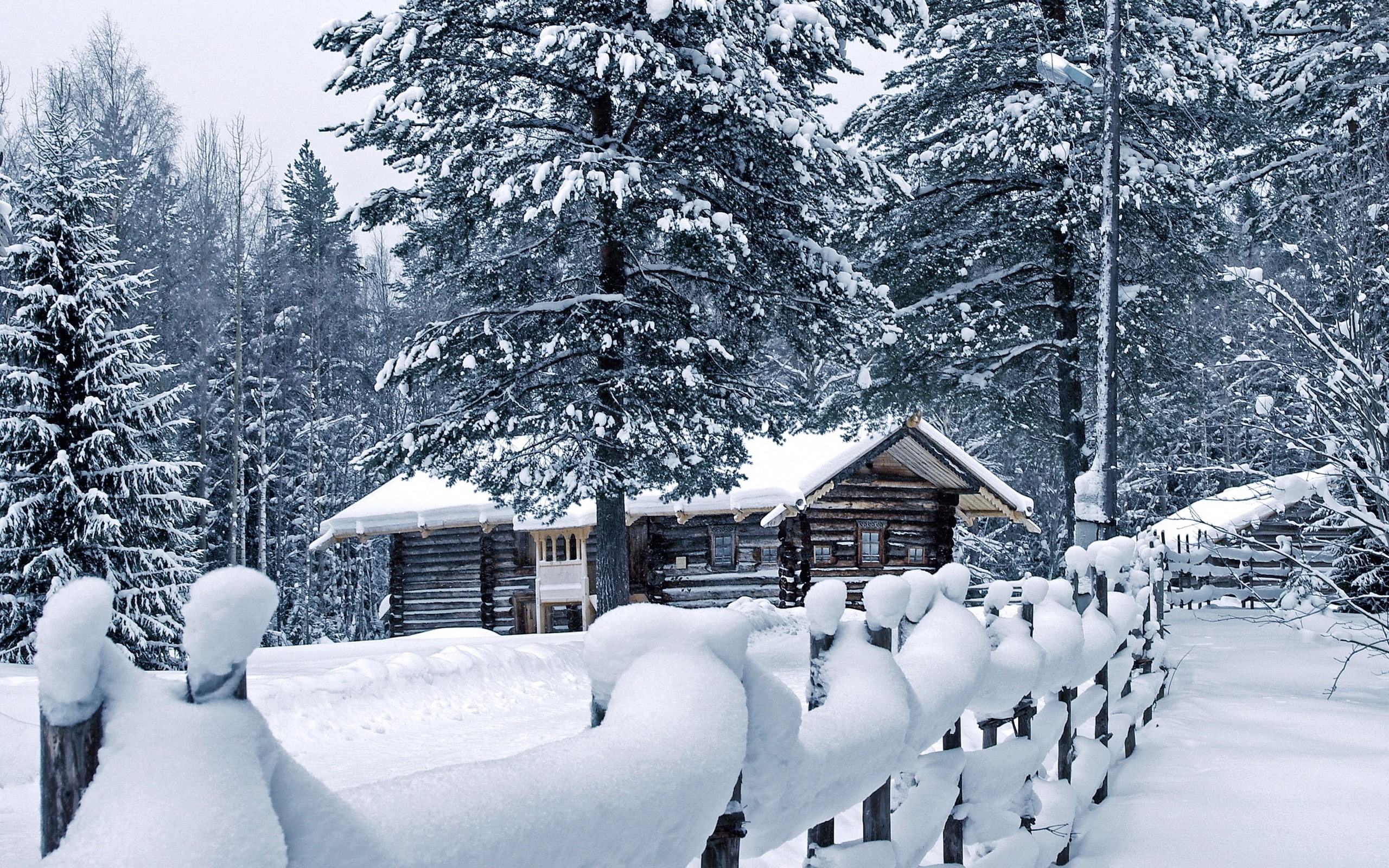 forest, fence, hd, nature, 2K, trees, cabin, winter, snow, HD Wallpaper