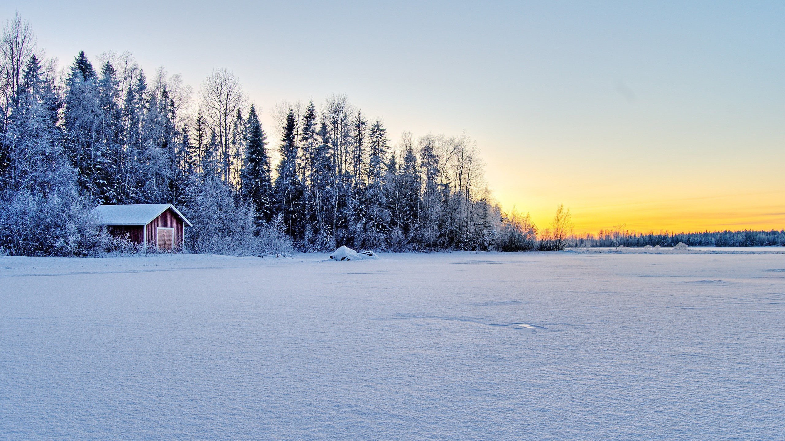 forest, nature, hd, house, winter, snow, trees, cabin, 2K, HD Wallpaper