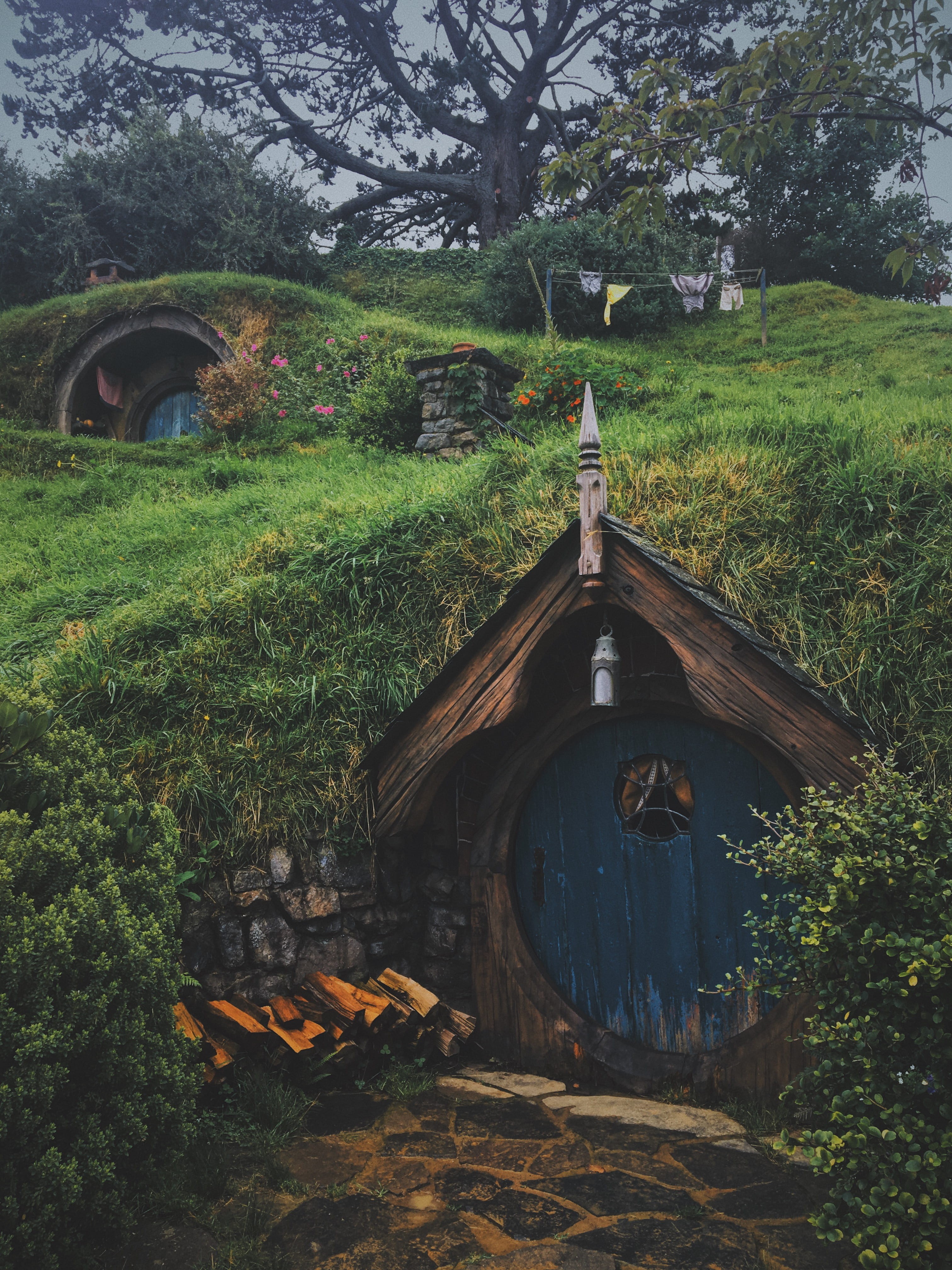 day, arch, hobbiton, hobbit hole, tree, built structure, brown, round door, grass, architecture, no people, green color, land, old, building, abandoned, Phone HD Wallpaper