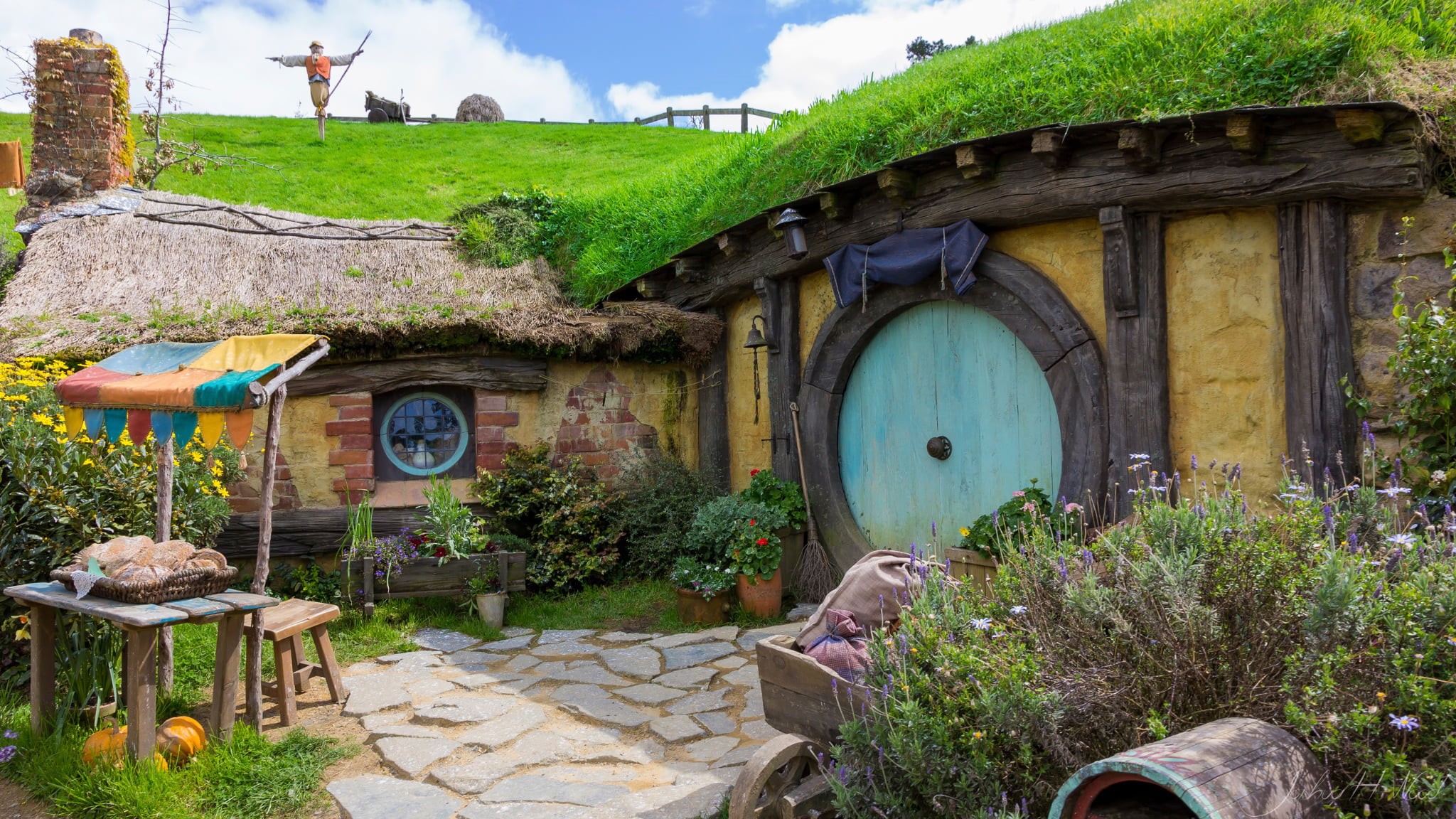 1080P, plants, built structure, green color, plant, cloud - sky, no people, old, nature, outdoors, arch, New Zealand, representation, art and craft, green, HD Wallpaper