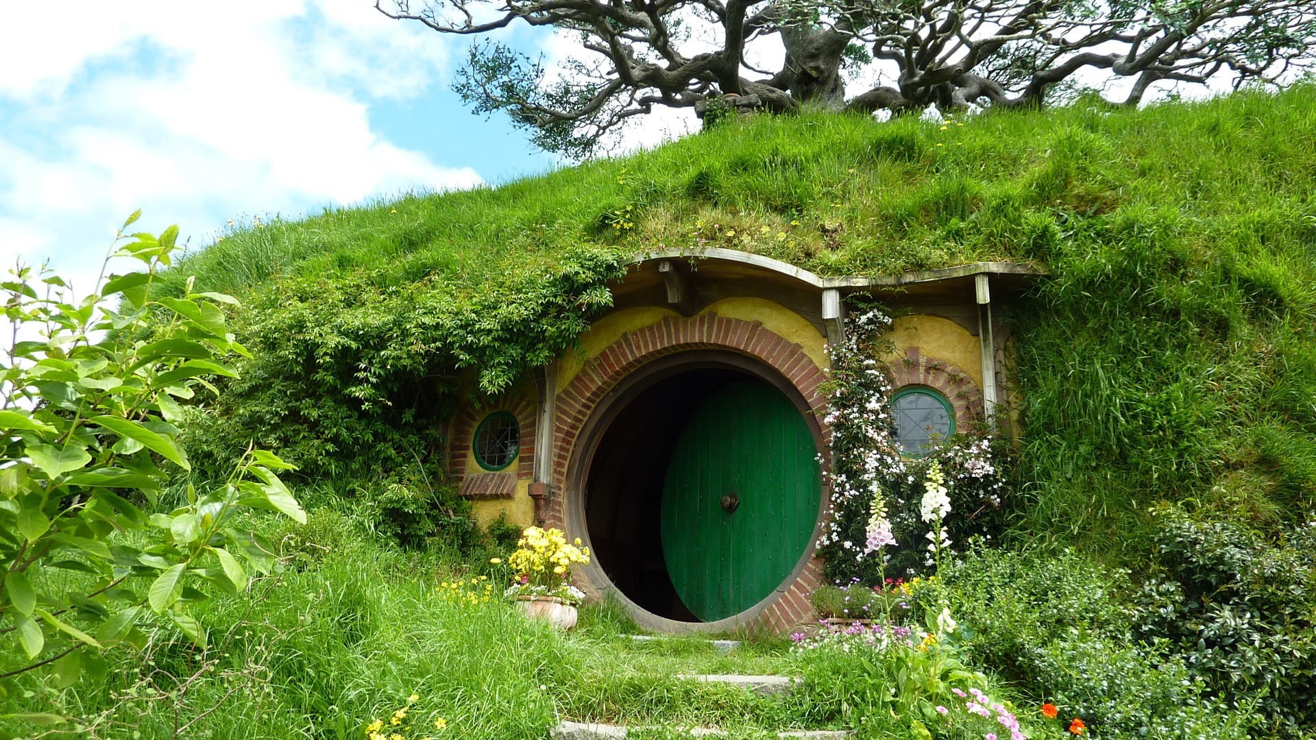 nature, door, trees, 1080P, Hobbiton, house, landscape, green, grass, flowers, New Zealand, HD Wallpaper