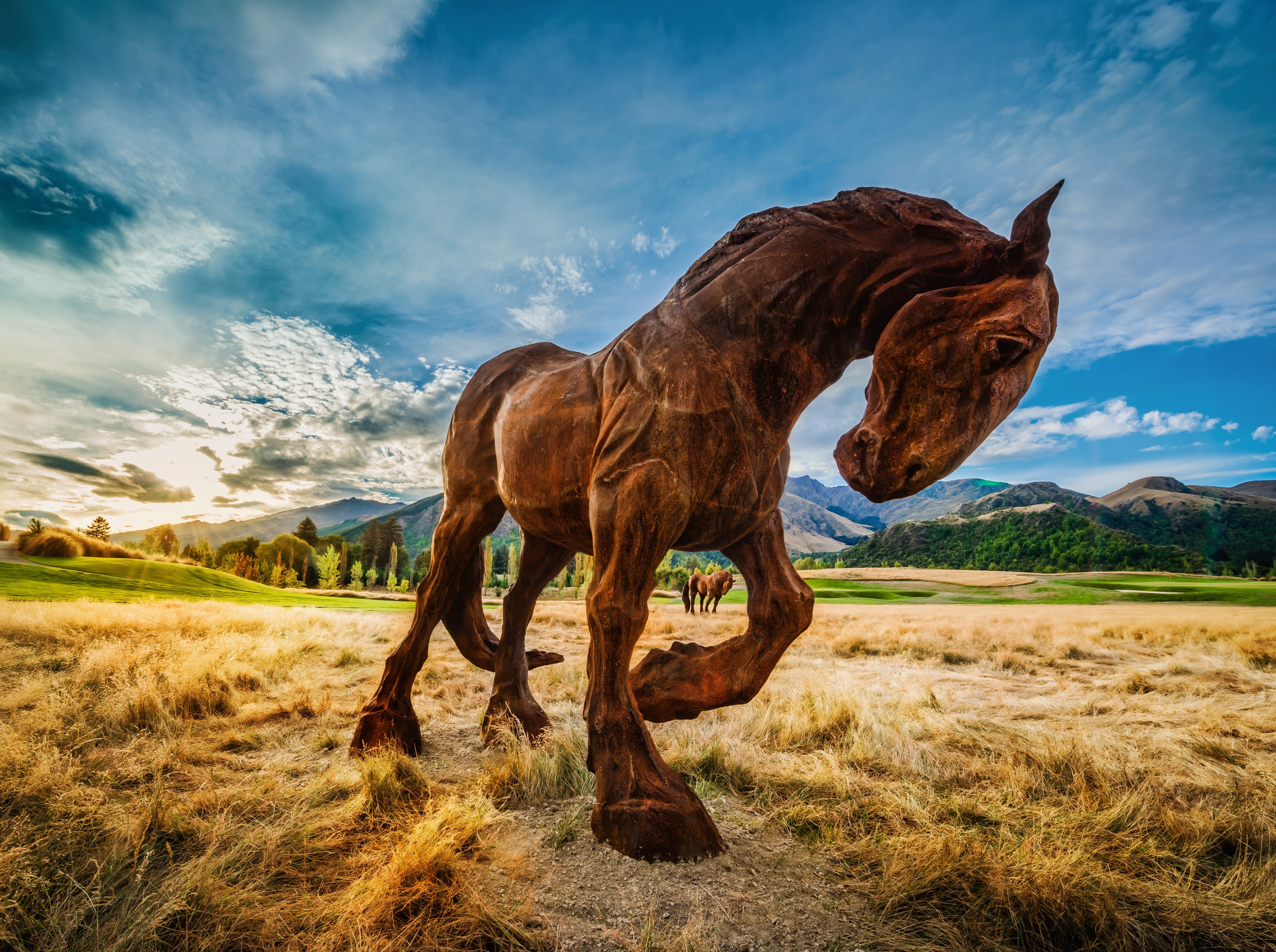 Resort, wooden, plant, livestock, environment, Zealand, 2013, 5K, land, Field, Processing, Sculpture, City, Range, no people, domestic animals, Wakatipu, HD Wallpaper