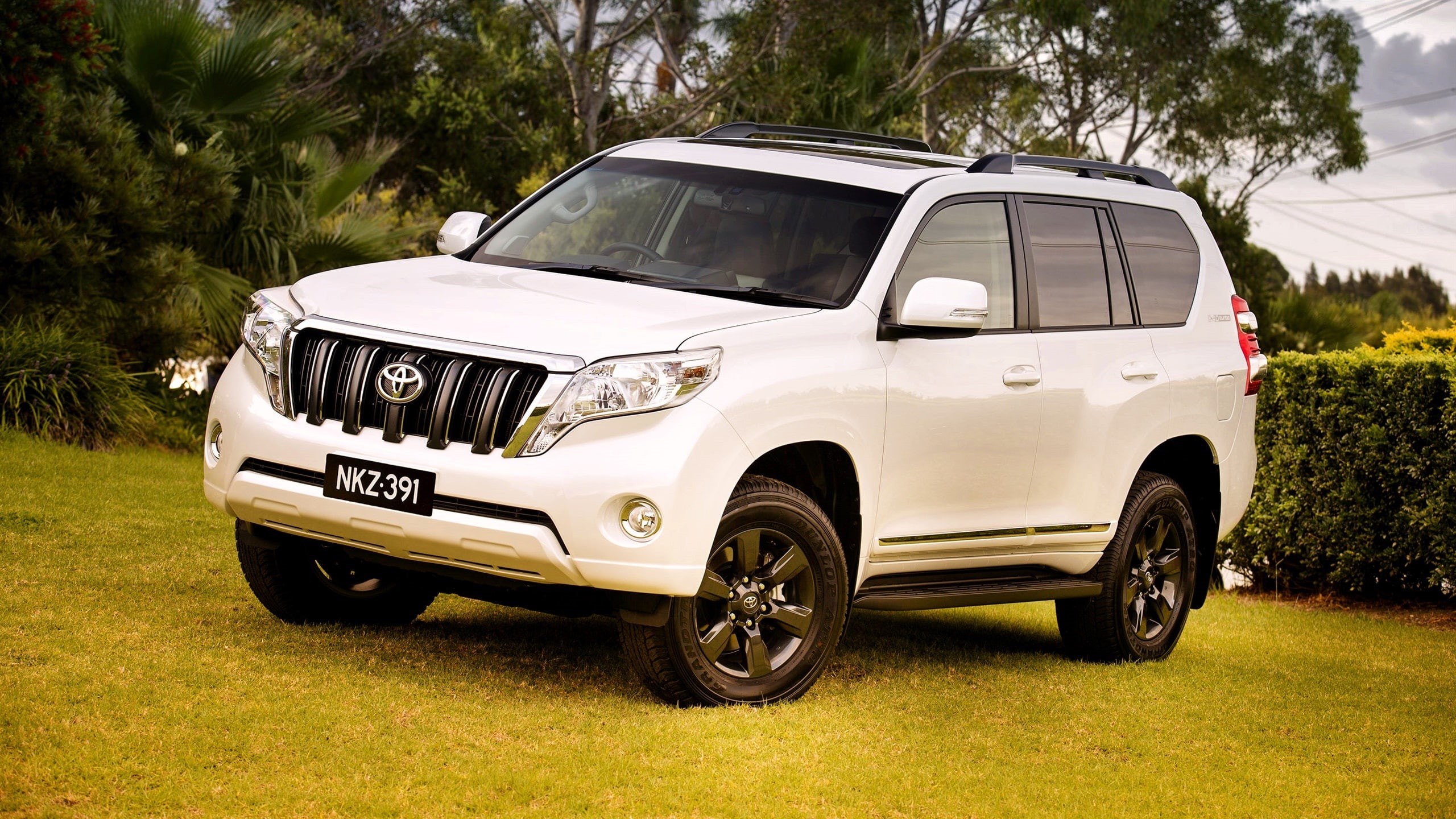 Toyota, 2014, Land, Car, 2K, SUV, cruiser, prado, HD Wallpaper