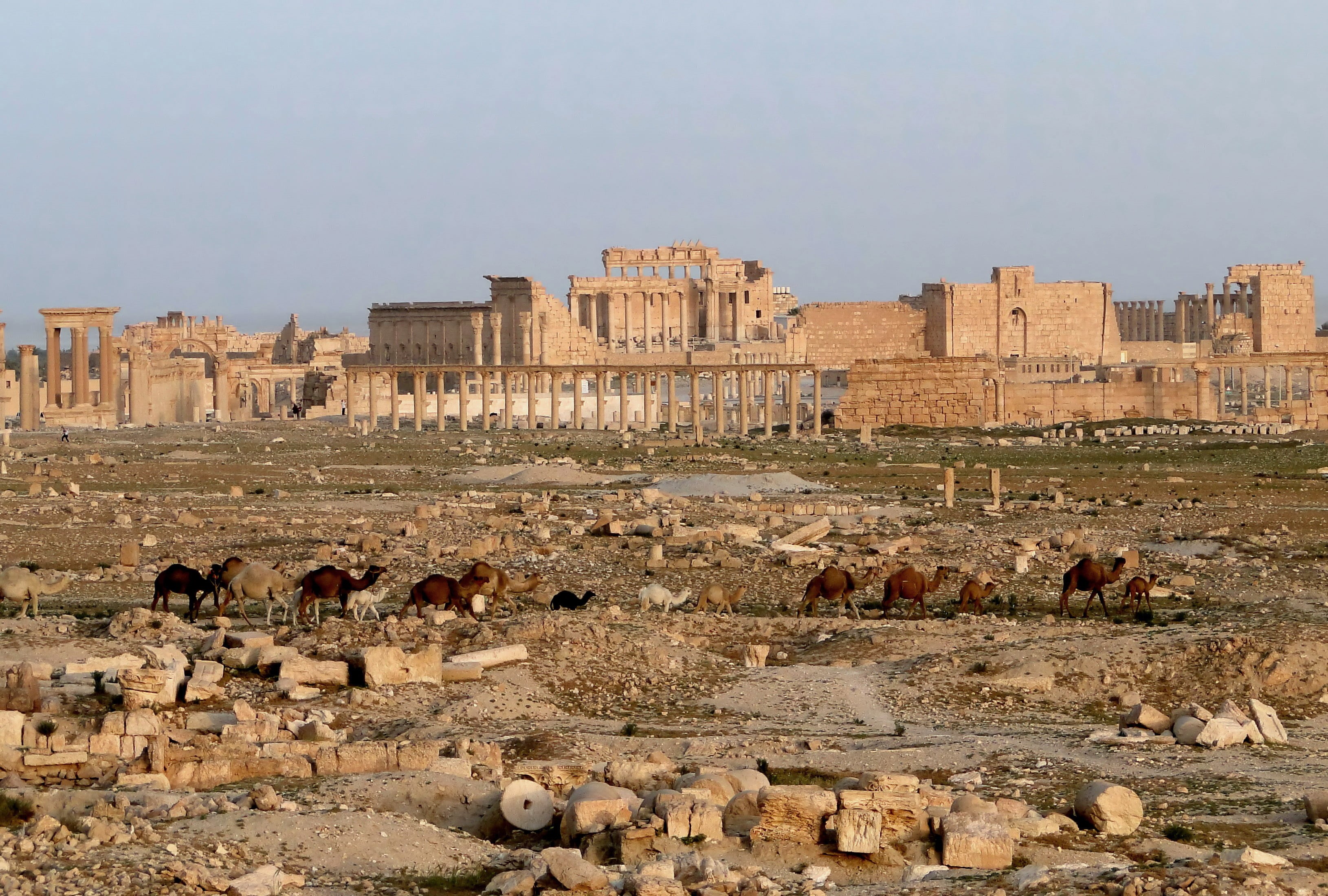 sky, no people, india, travel Destinations, people, building, the Past, tourism, old Ruin, architecture, temple - Building, tomb, The city, monument, north African Culture, HD Wallpaper