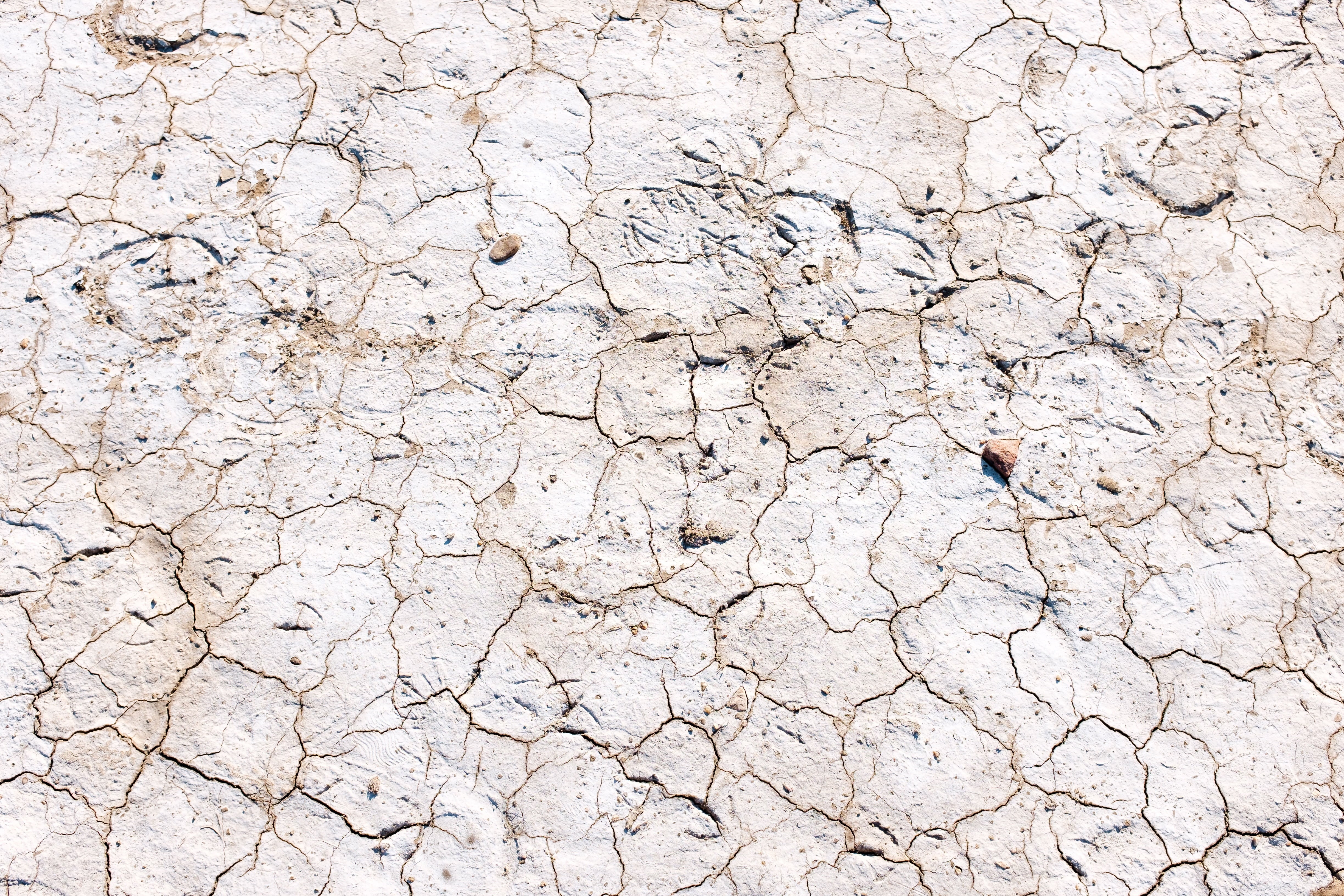white, concrete, close-up, barren, cracked, land, stone, scenics - nature, 4K, rough, environment, drought, textured, day, no people, full frame, architecture, HD Wallpaper