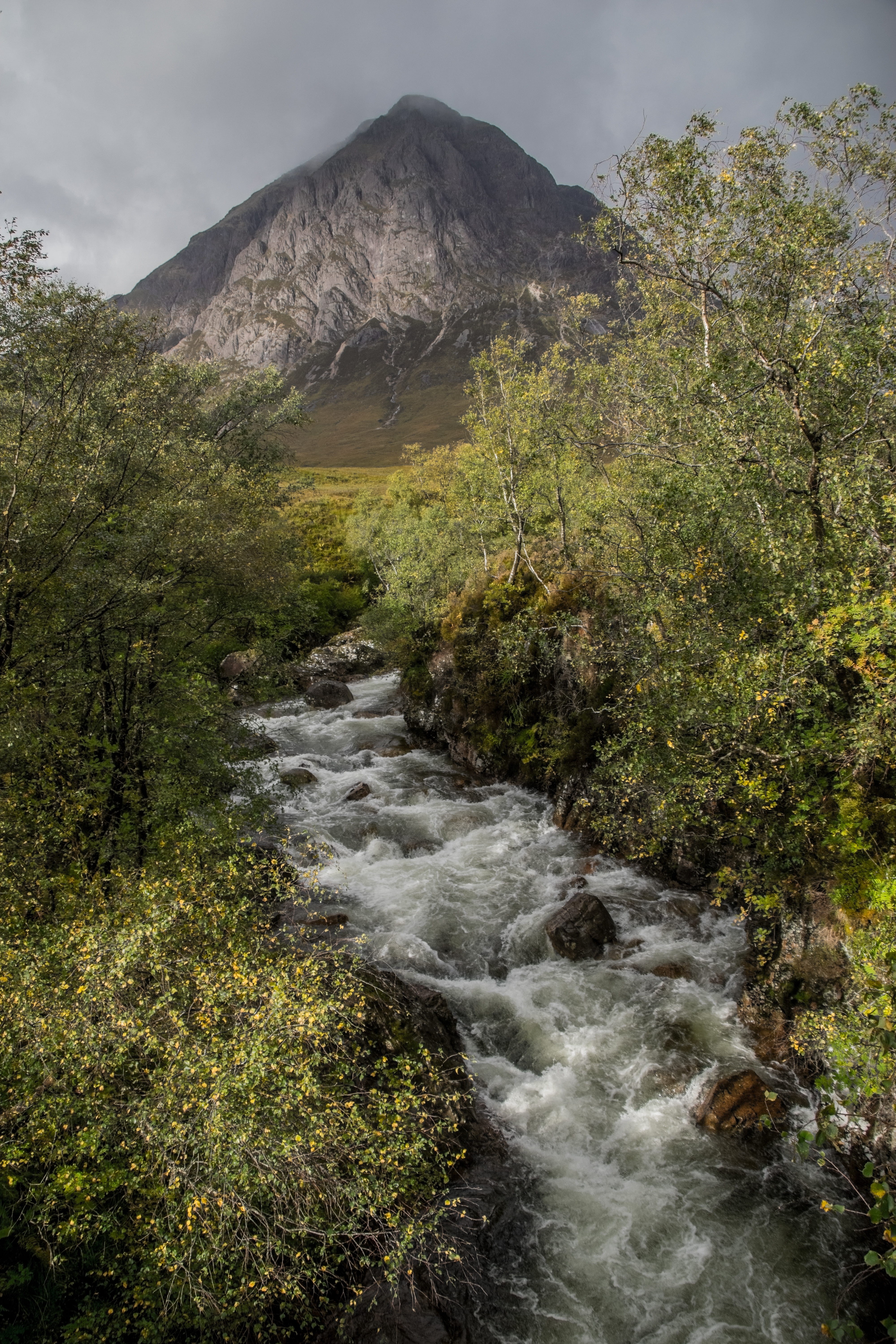 tranquil scene, scenics - nature, nature, river, growth, trees, rock - object, solid, 5K, no people, mountain, water, Buachaille Etive Mor, scotland, landscape, Phone HD Wallpaper